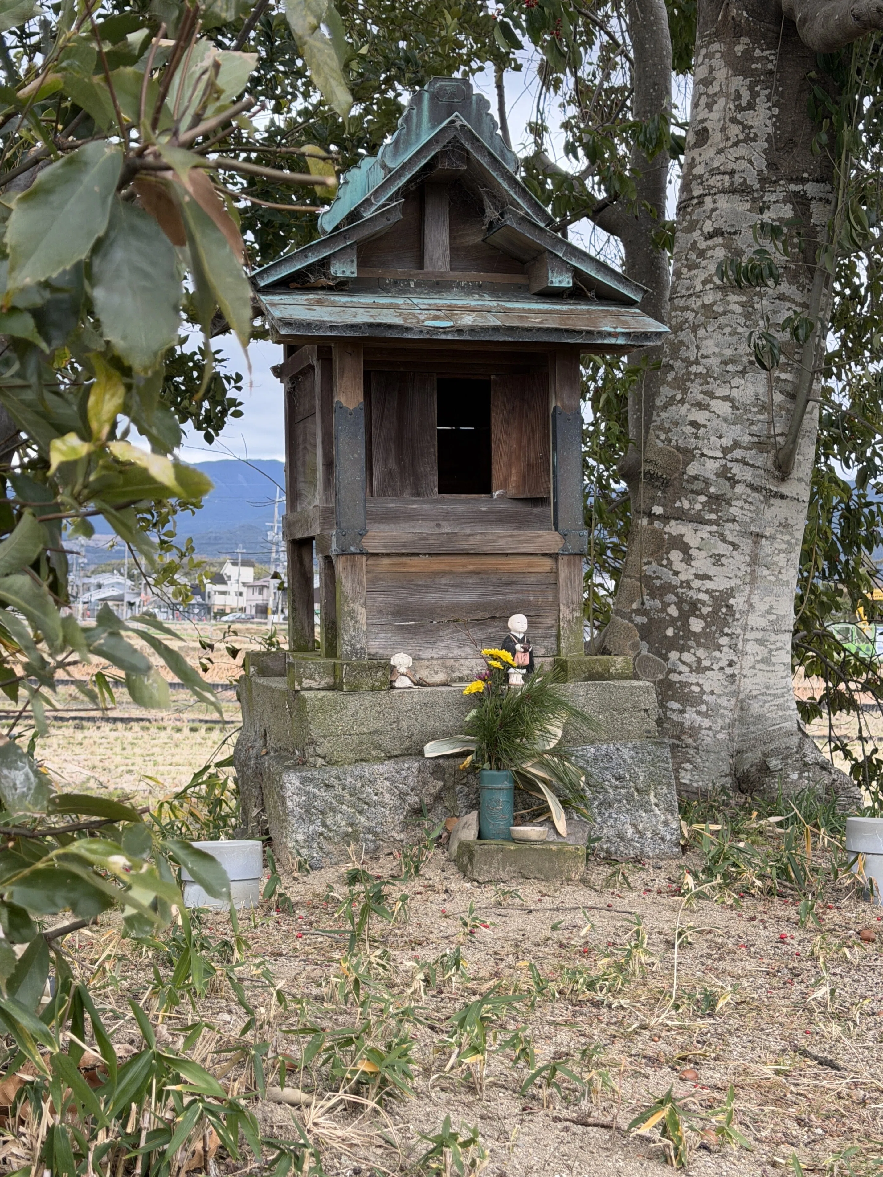 飛鳥古寺廃寺5】 元藥師寺阯（跡） ～司馬遼太郎が考えたこと～｜高坂正澄