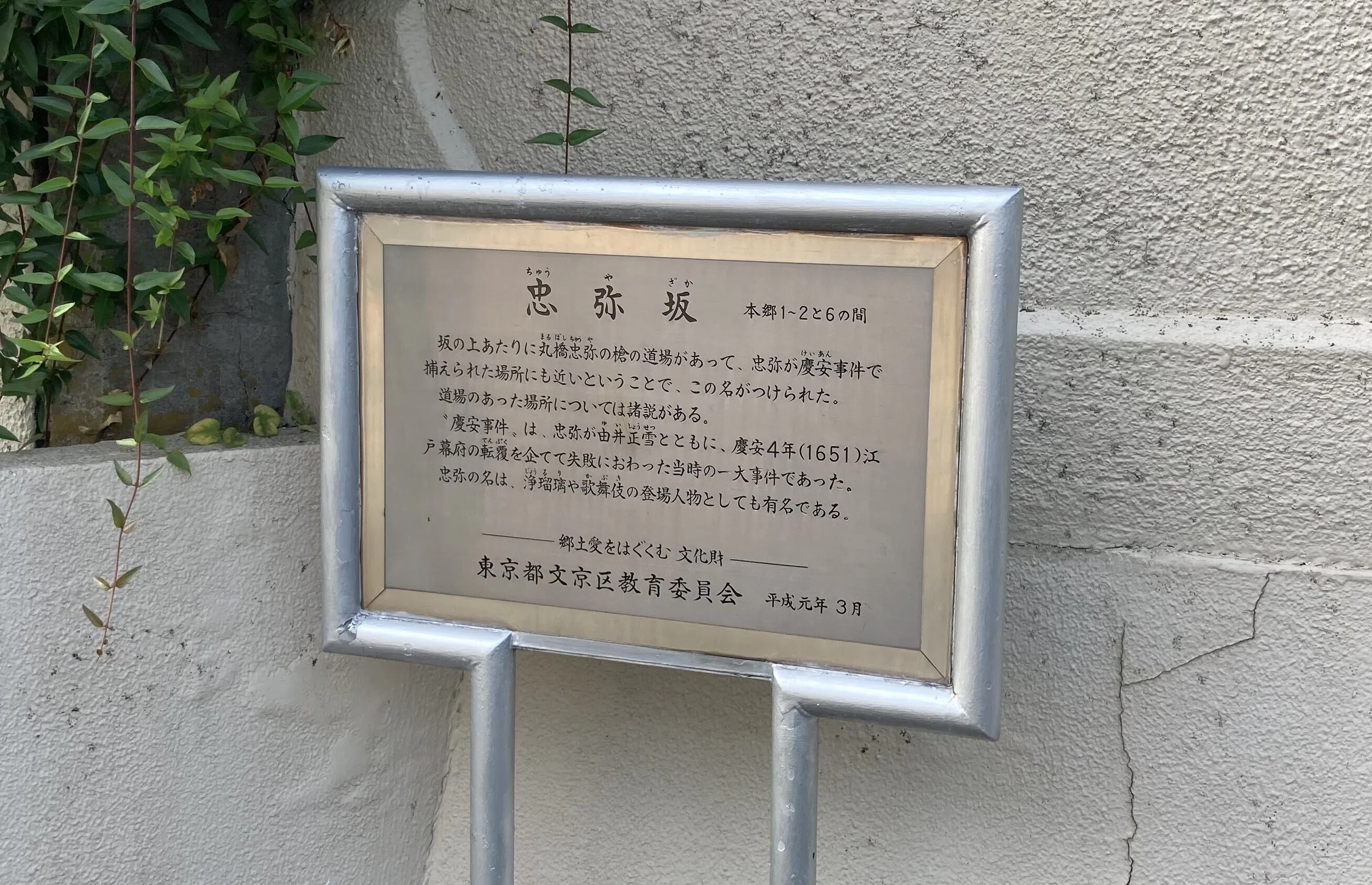 桜蔭中学校・高等学校【進学校巡礼 都内編】｜【東大進学校研】東京