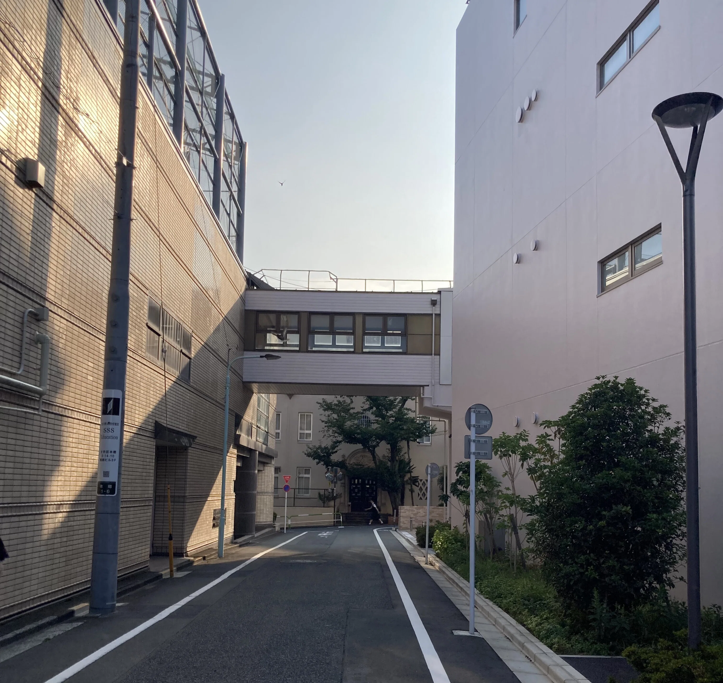 桜蔭中学校・高等学校【進学校巡礼 都内編】｜【東大進学校研】東京