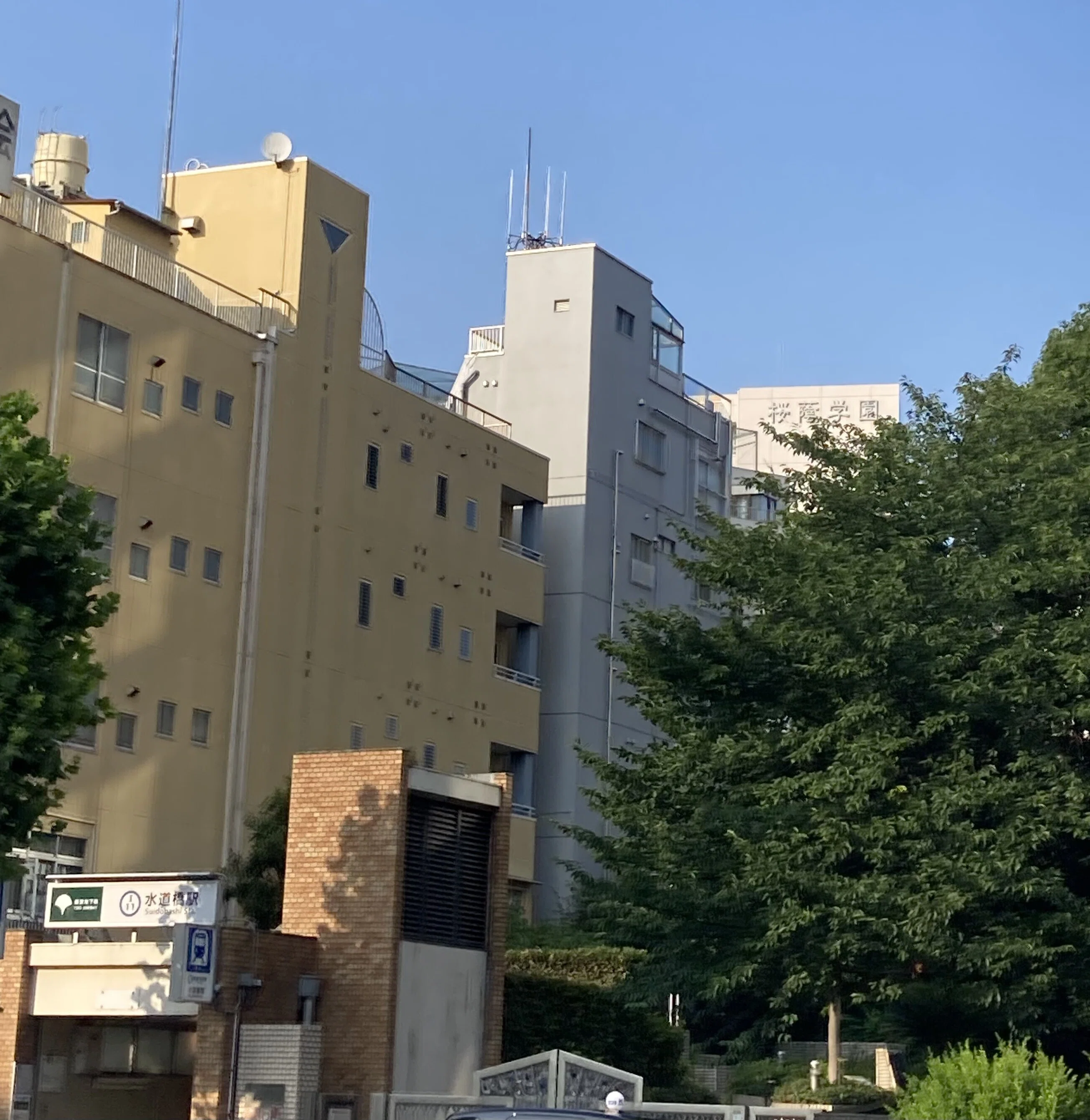 桜蔭中学校・高等学校【進学校巡礼 都内編】｜【東大進学校研】東京