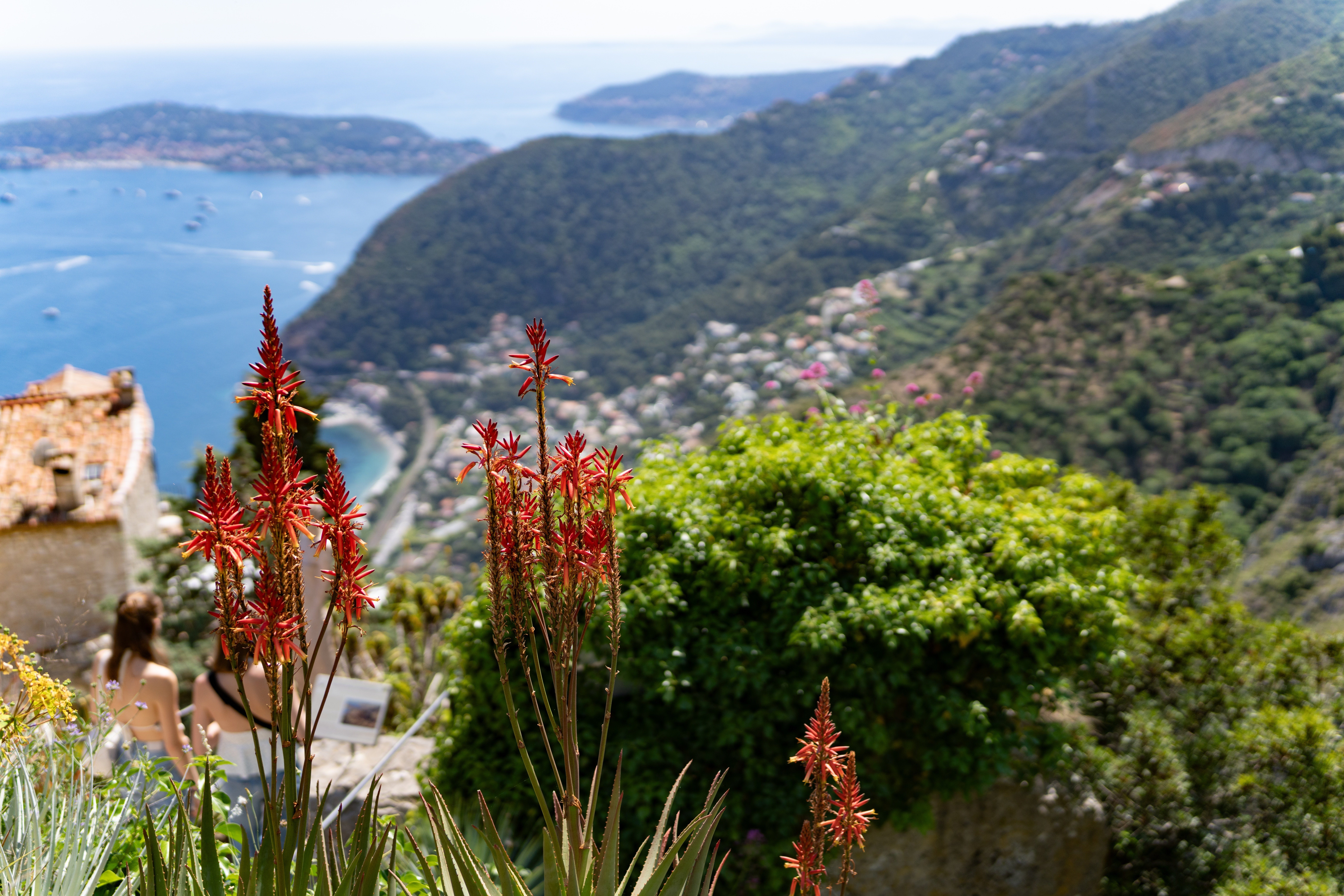 フランス】ニース｜リゾートで海鮮補給しながらオフラインラブに思いを