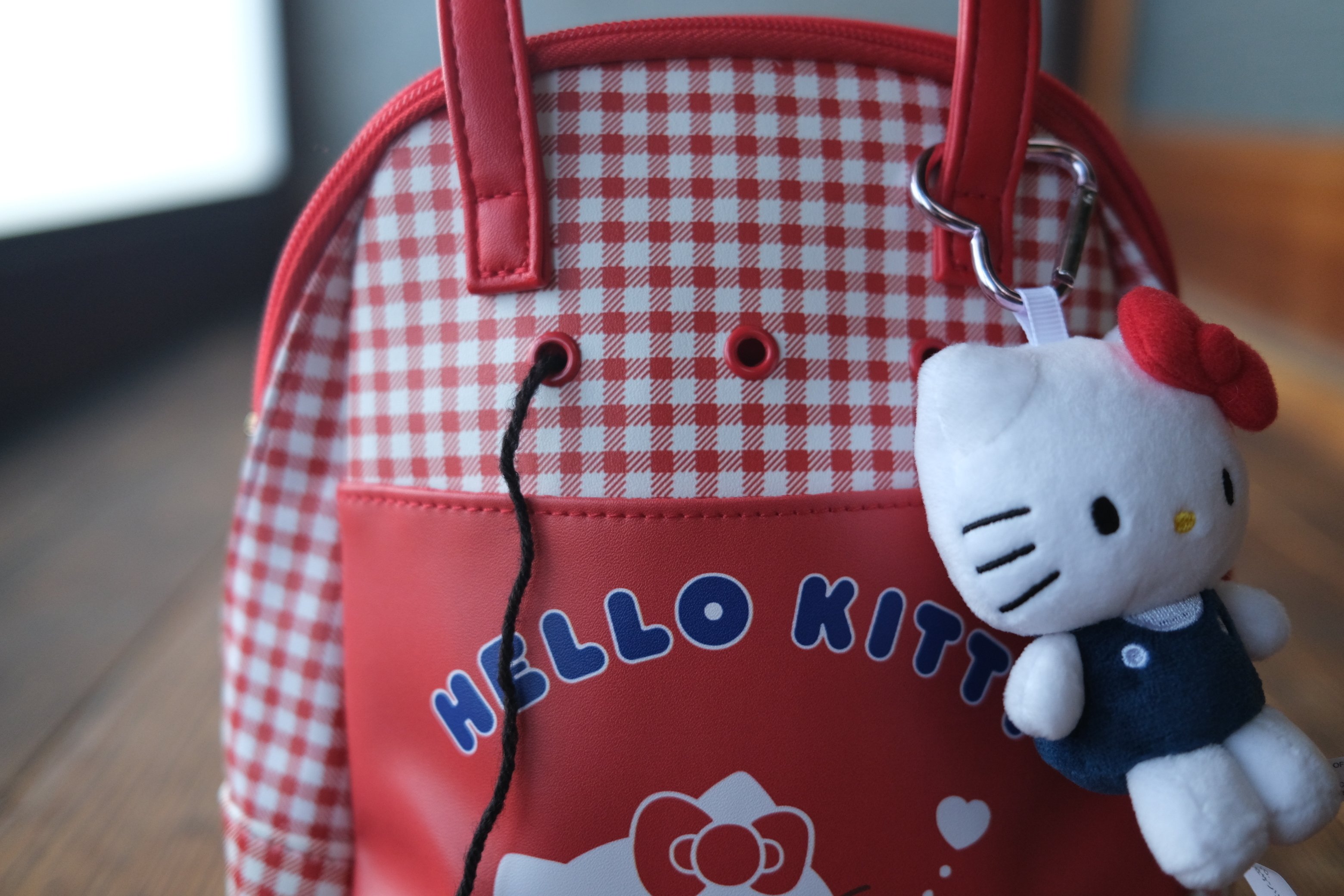 さんりお手芸部🍎キティちゃんのかぎ針に挑んだ1/21 10:00｜藍|古民家