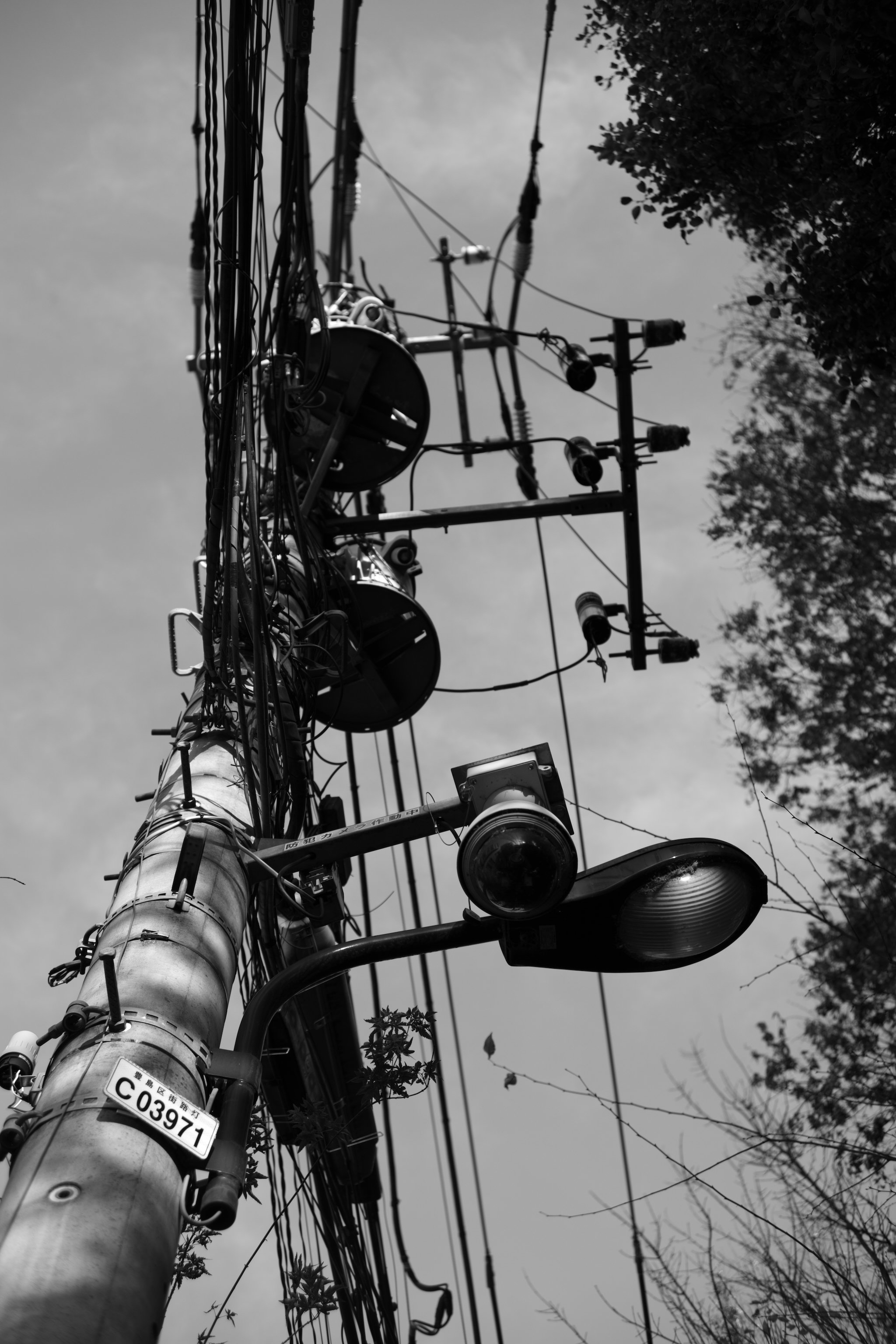 Leica M Monochromをお迎えして2ヶ月。モノクロのお気楽な愉しみ