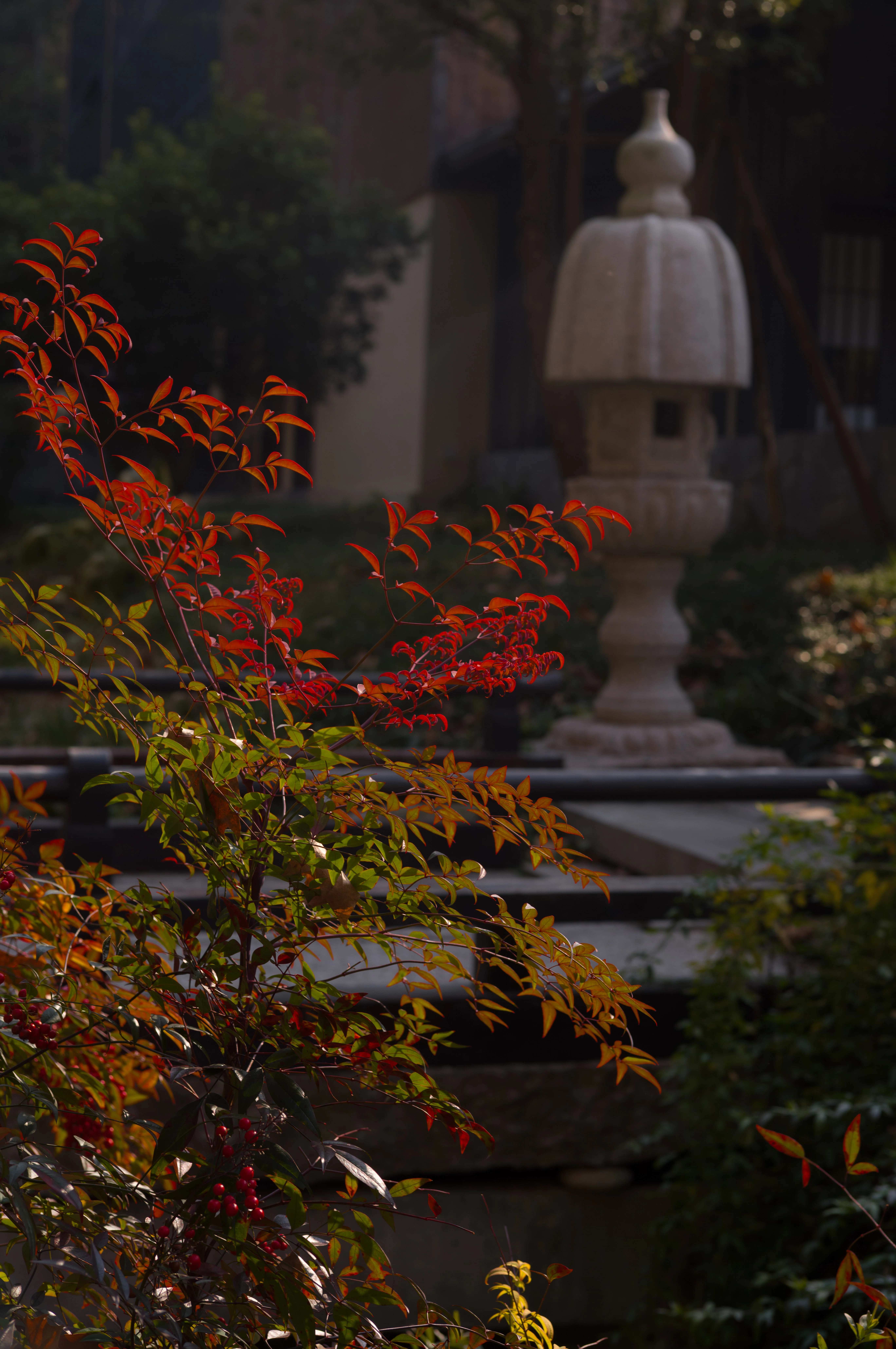 旅の写真日記・中国景徳鎮｜Masahiro Kono| Leica M11× Trip