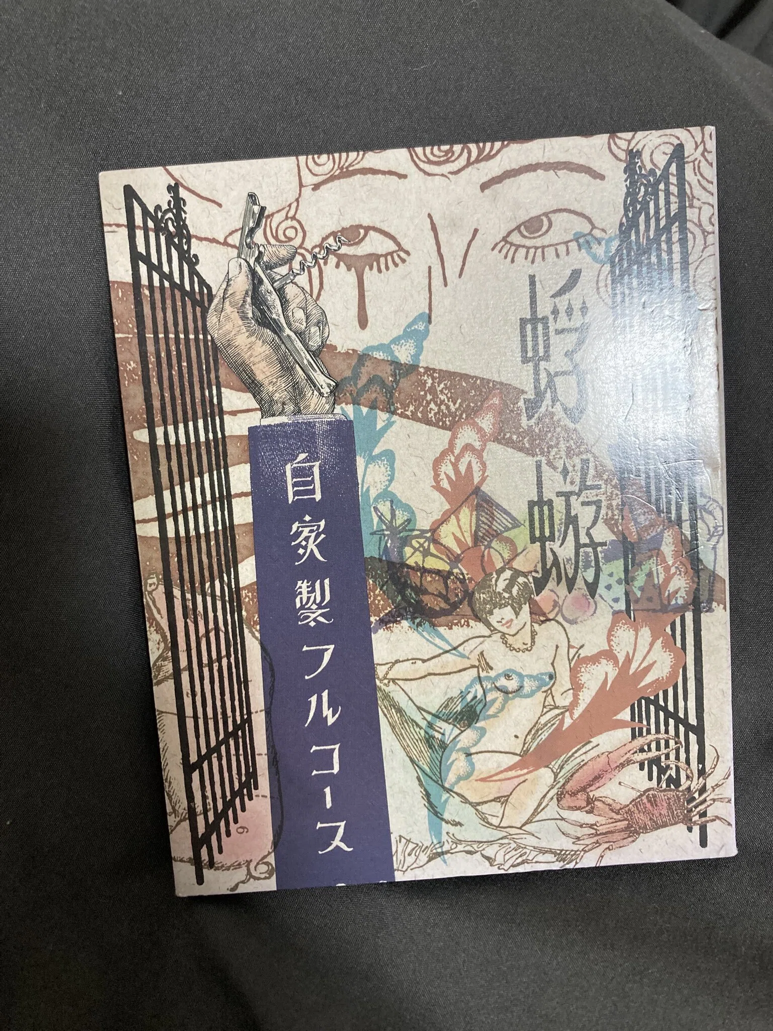 (1197) 廃盤CD 蜉蝣 蜉蝣事典 大人の書店 アイドル狂いの心裏学 V系 音楽評じゃない]蜉蝣初心者による自分語り／蜉蝣『自家製フルコース