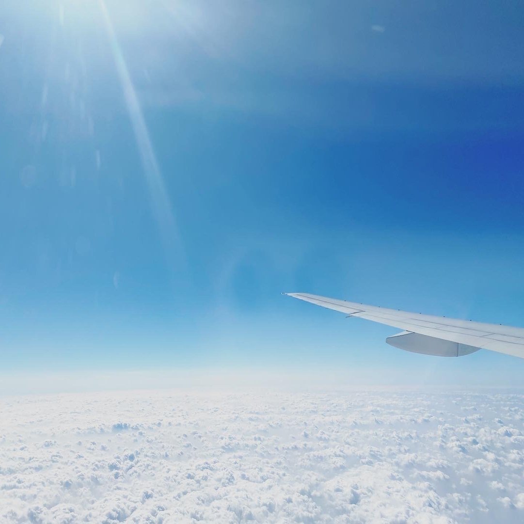 2600ドルは「いくつになってもドレスを着られる世界」への投資｜タケチヒロミ（Roulottes）