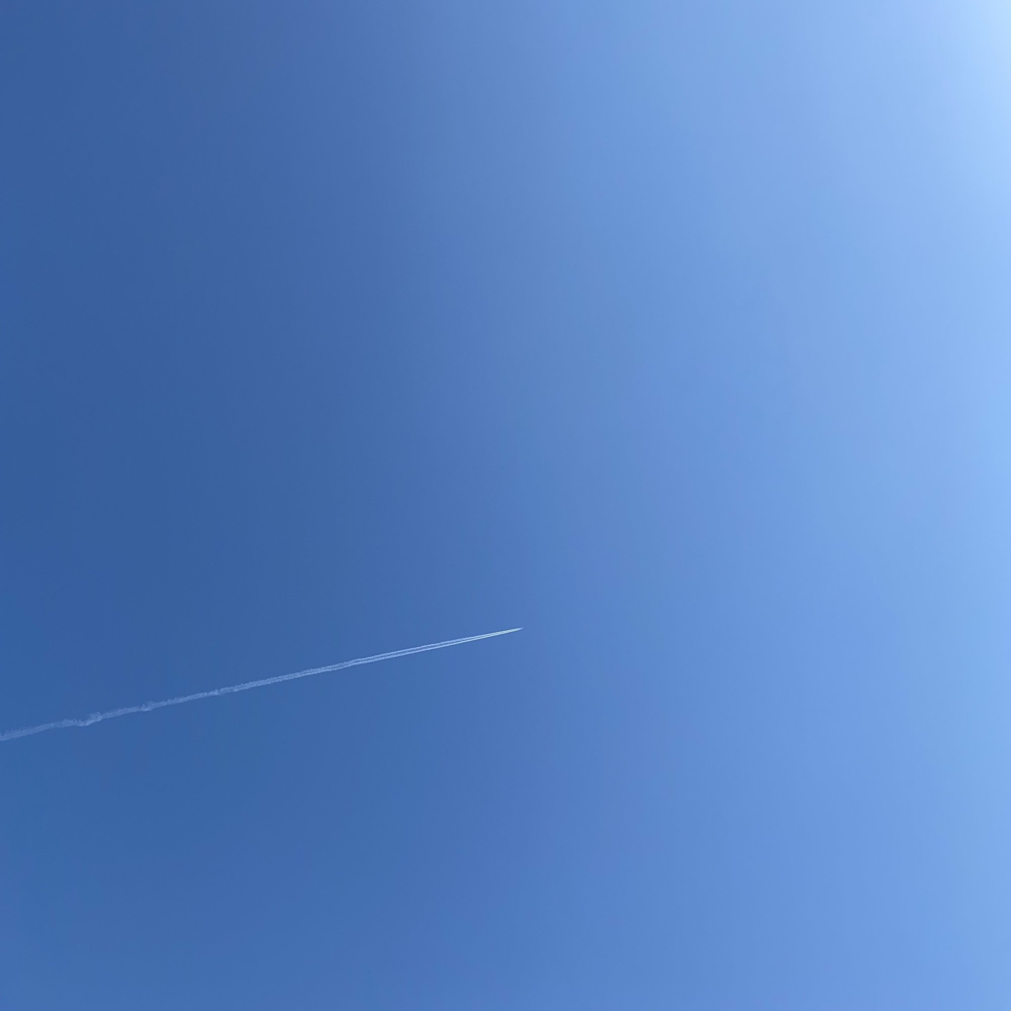 2600ドルは「いくつになってもドレスを着られる世界」への投資｜タケチヒロミ（Roulottes）