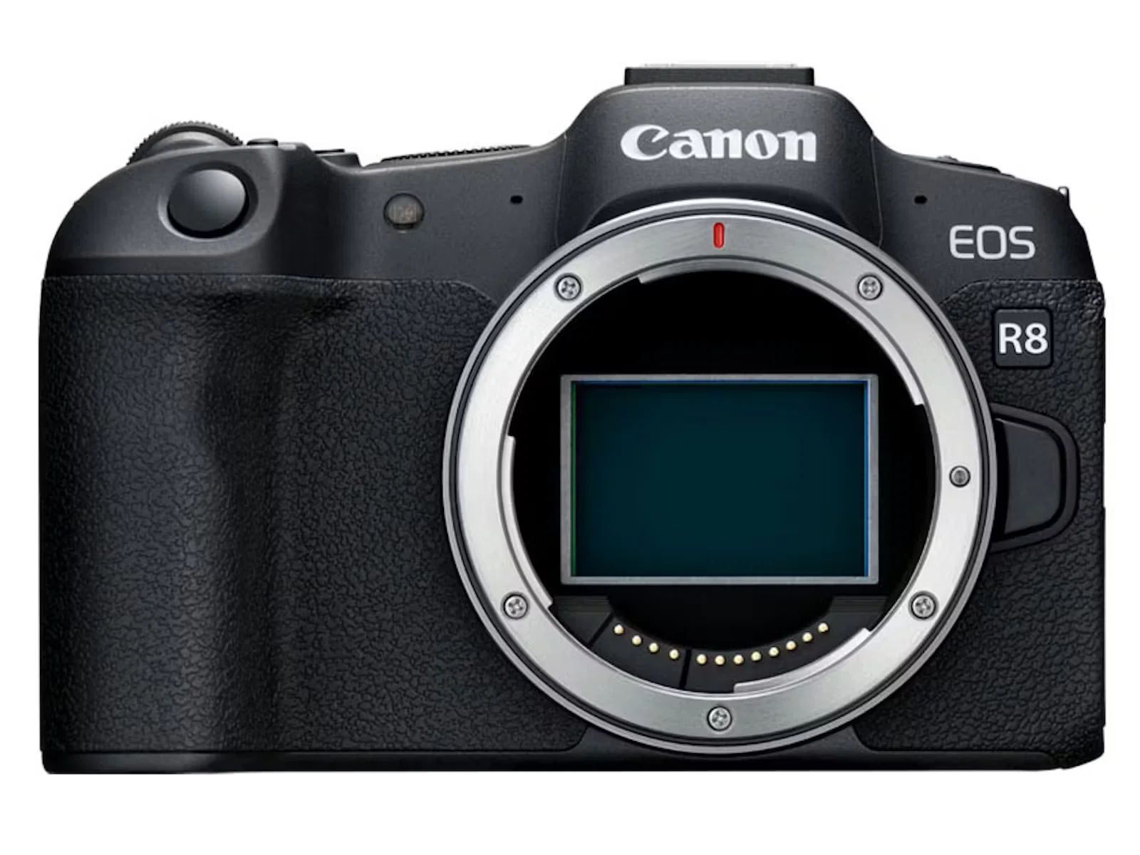 新作を海外 Canon EOS R ミラーレス一眼カメラ 本体 【公式通販】