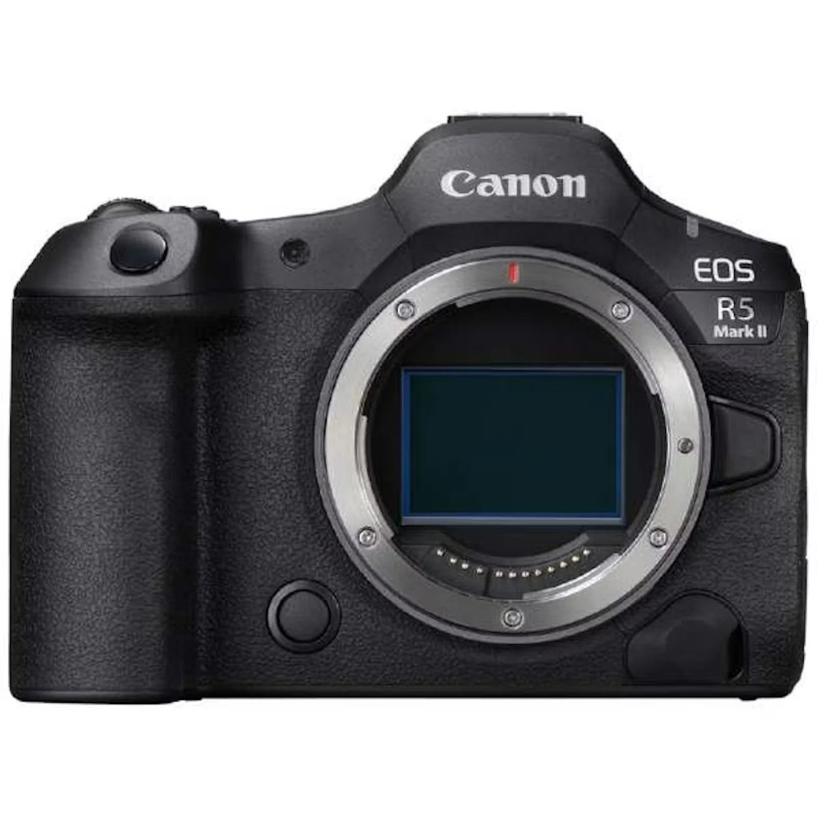 1600まで見える！？Canonミラーレスカメラをお持ちの方におすすめ！サポート 1600まで見える！？Canonミラーレスカメラをお持ちの方におすすめ