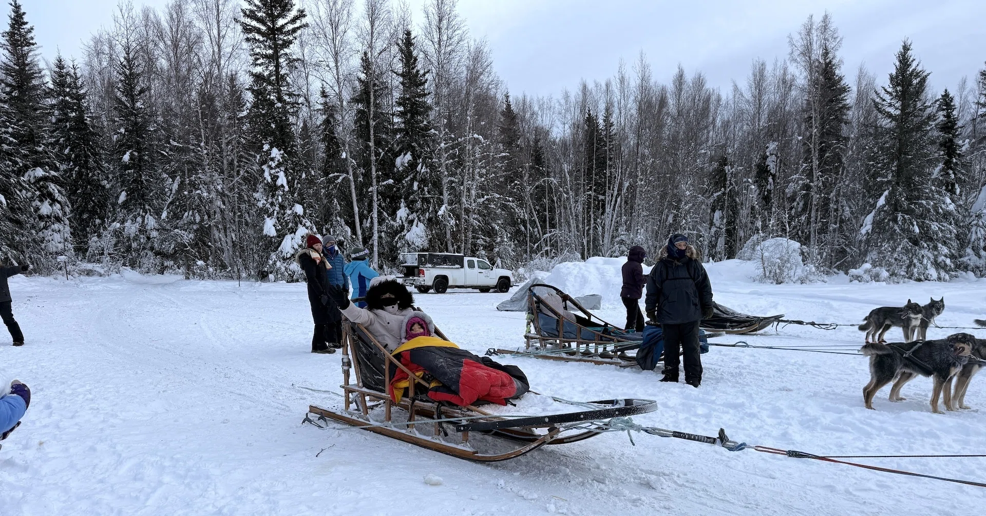 旅は最高の教育｜アラスカで犬ぞり体験。走るのが大好きな犬たちと雪原
