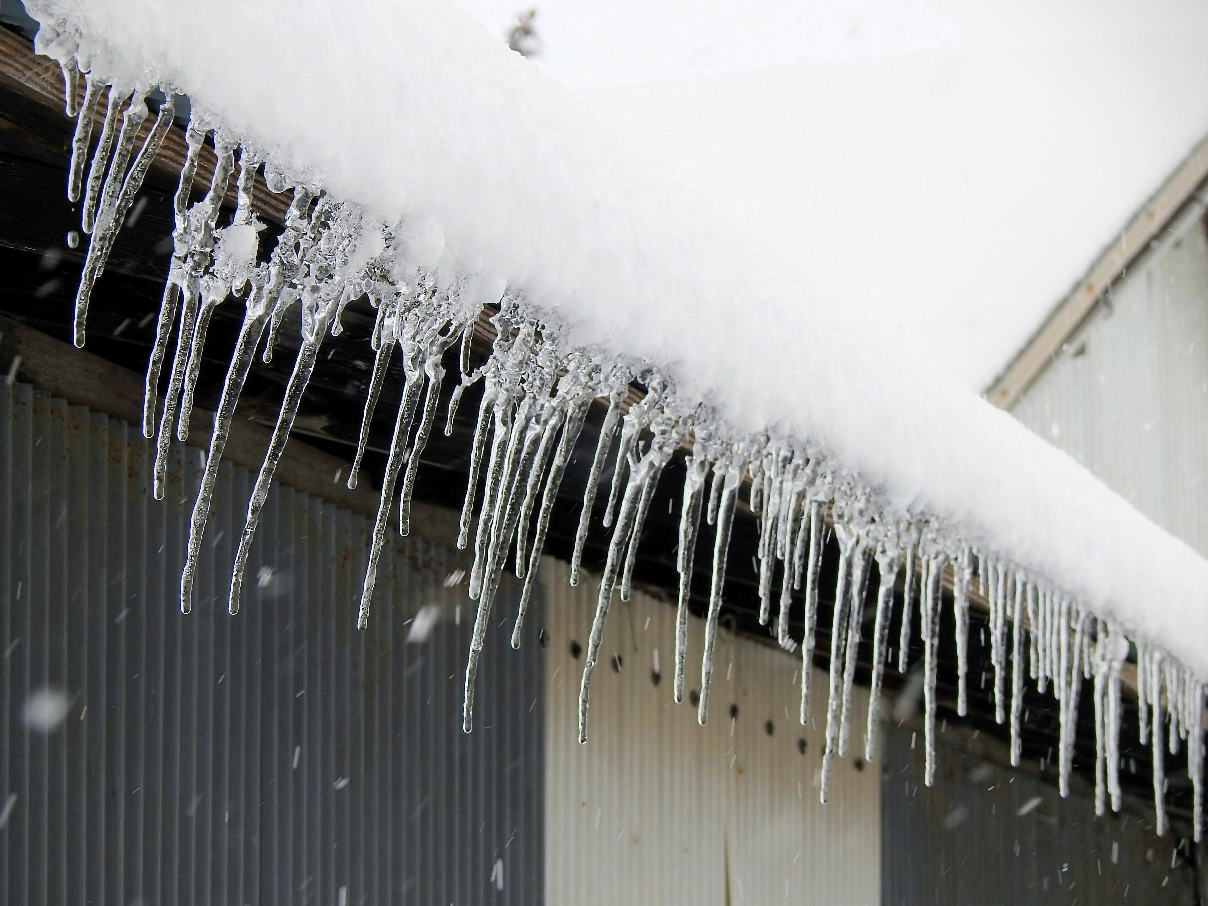 百年眠りの冬　大杉水京　1986.1.1発行 百年眠りの冬 大杉水京 1986.1.1発行 百年眠りの冬 大杉水京 1986.1.1