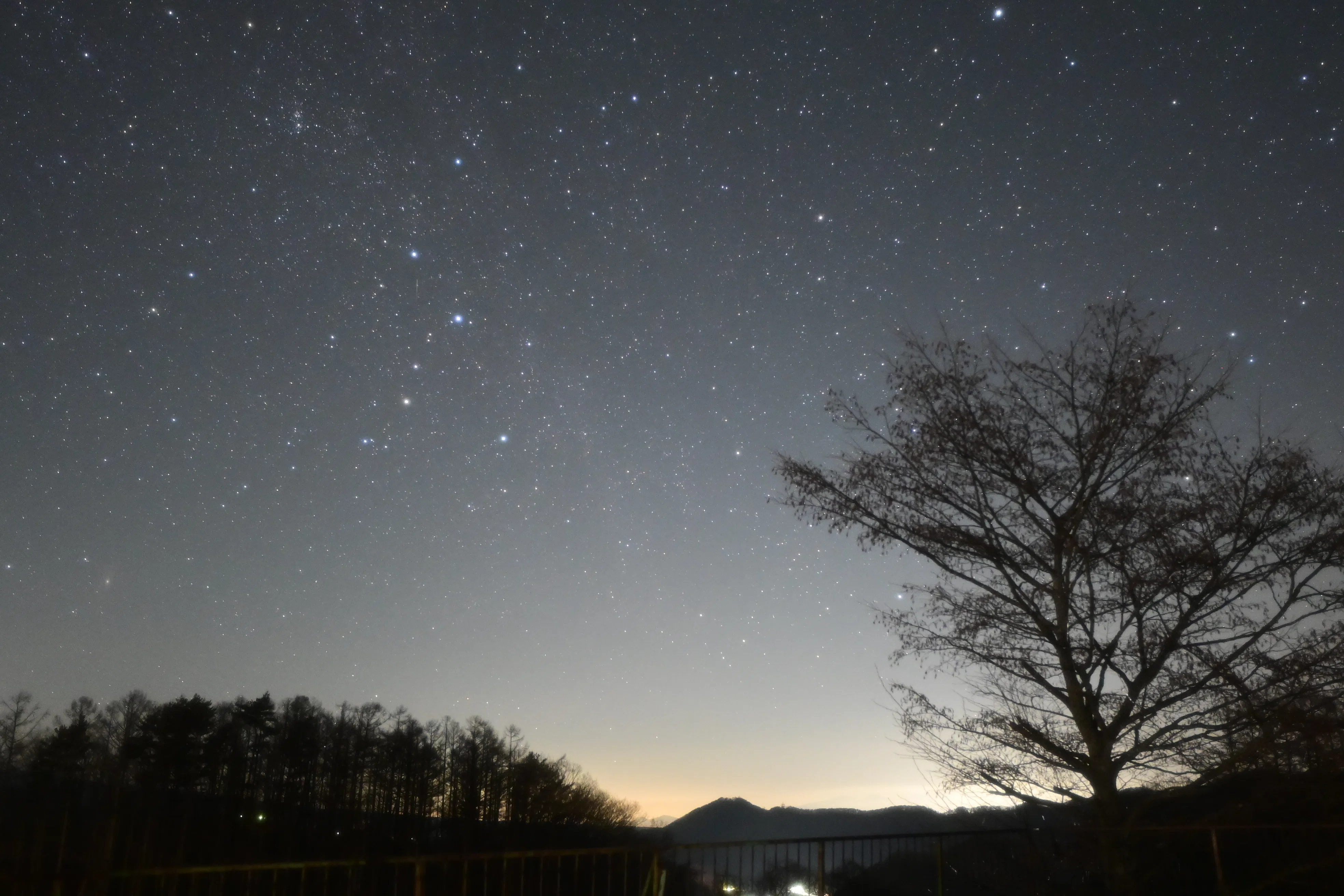 星空の処方箋 -暗闇で輝く光たち-｜みつき(20歳フォトグラファー)