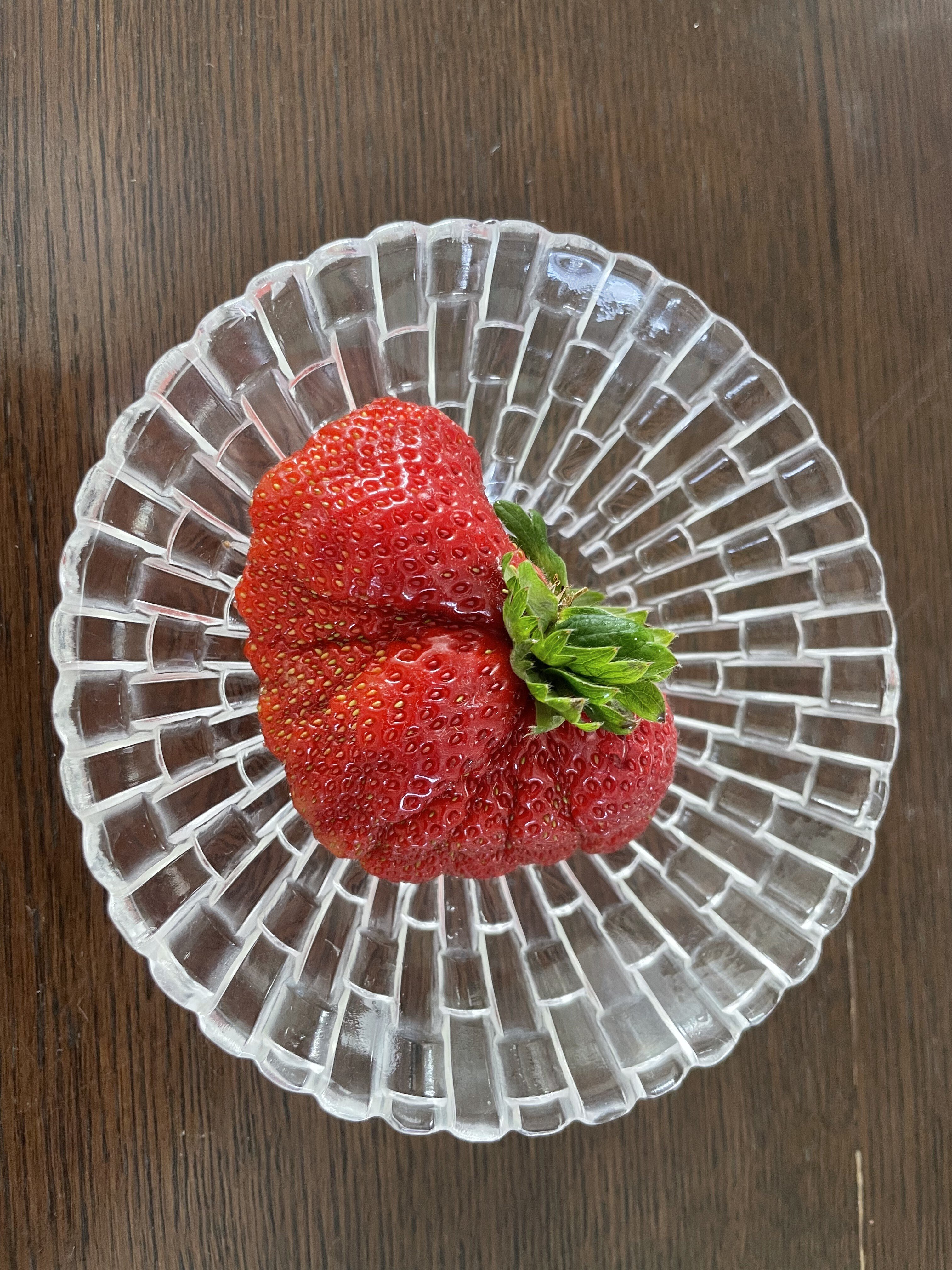 久しぶりのいちごちゃん・・ん？！｜ピューちゃん