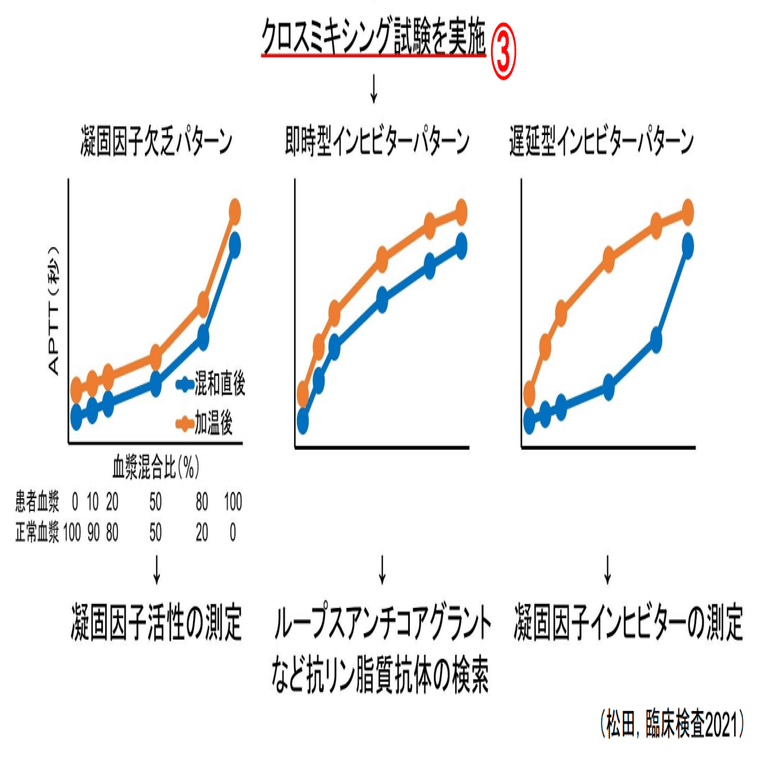 出血傾向｜Dr.Shiero