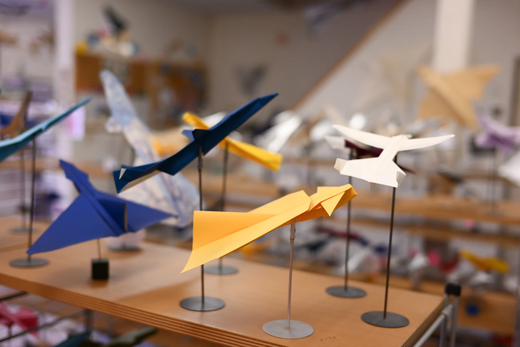 紙ヒコーキ博物館 : Paper airplane museum 福山市】世界でもここだけ！オリジナルの400種以上がズラリと並ぶ、紙