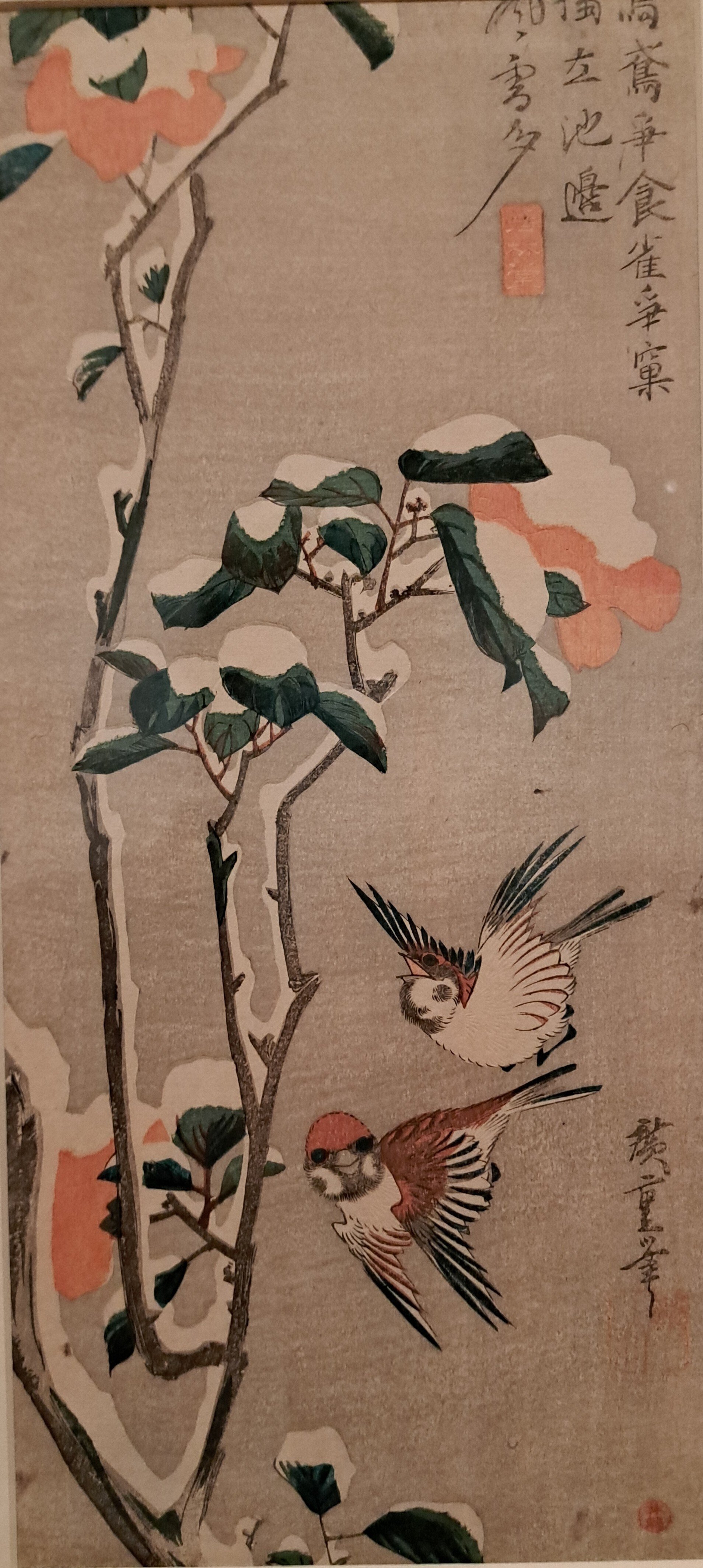 ロックフェラー・コレクション花鳥版画展 北斎、広重を中心に＞（千葉