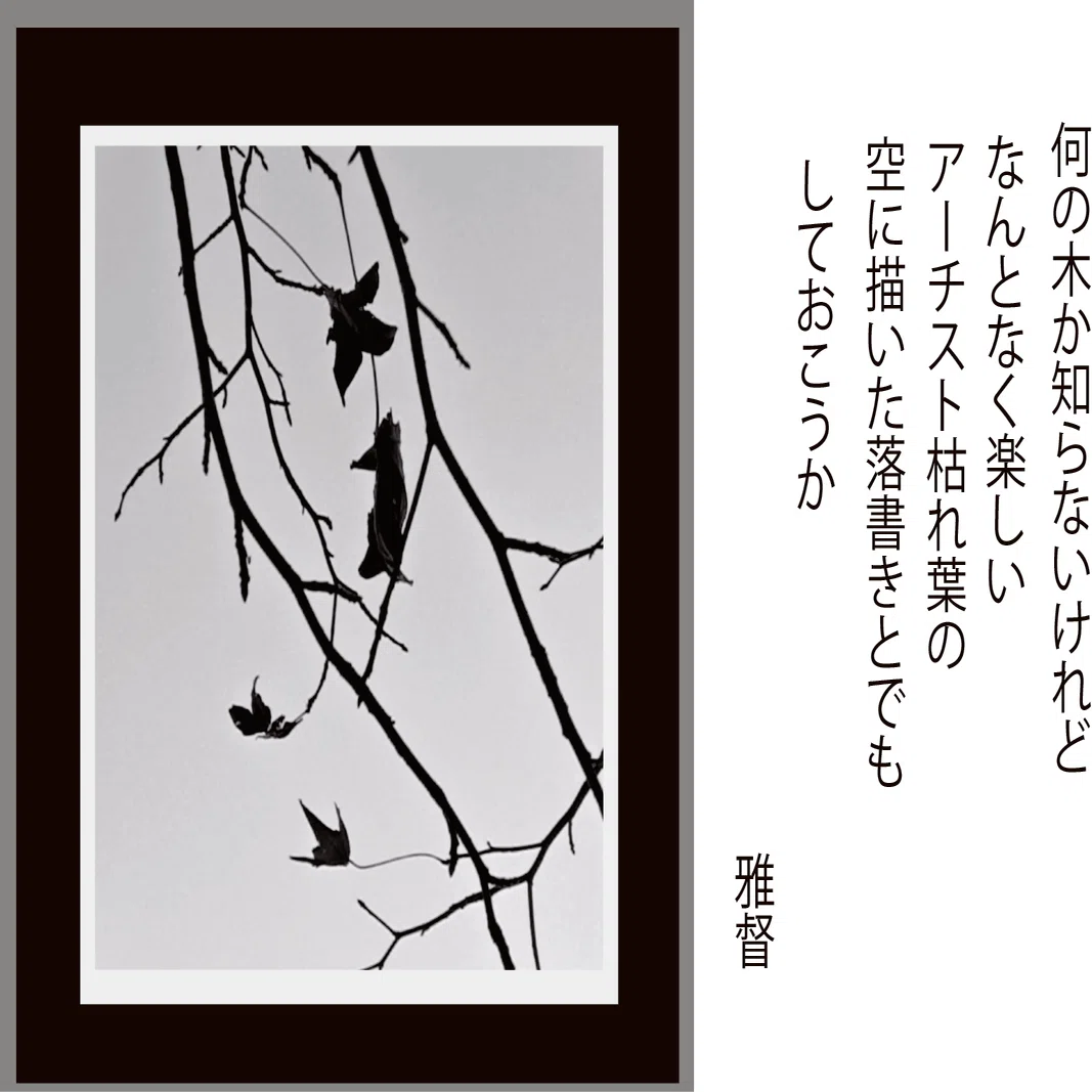スマホカメラを楽しむ アーティスト枯れ葉の空に書いた落書きとでもし 