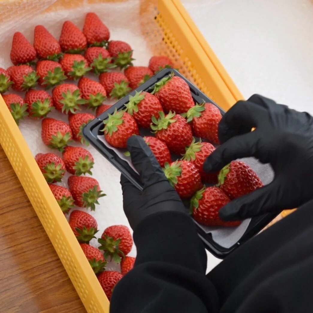 プリチャンプロモ 卒業 バラ売り セット売り 🍓 お待たせしました｜オンライン販売スタート 🍓｜やくもファーム公式