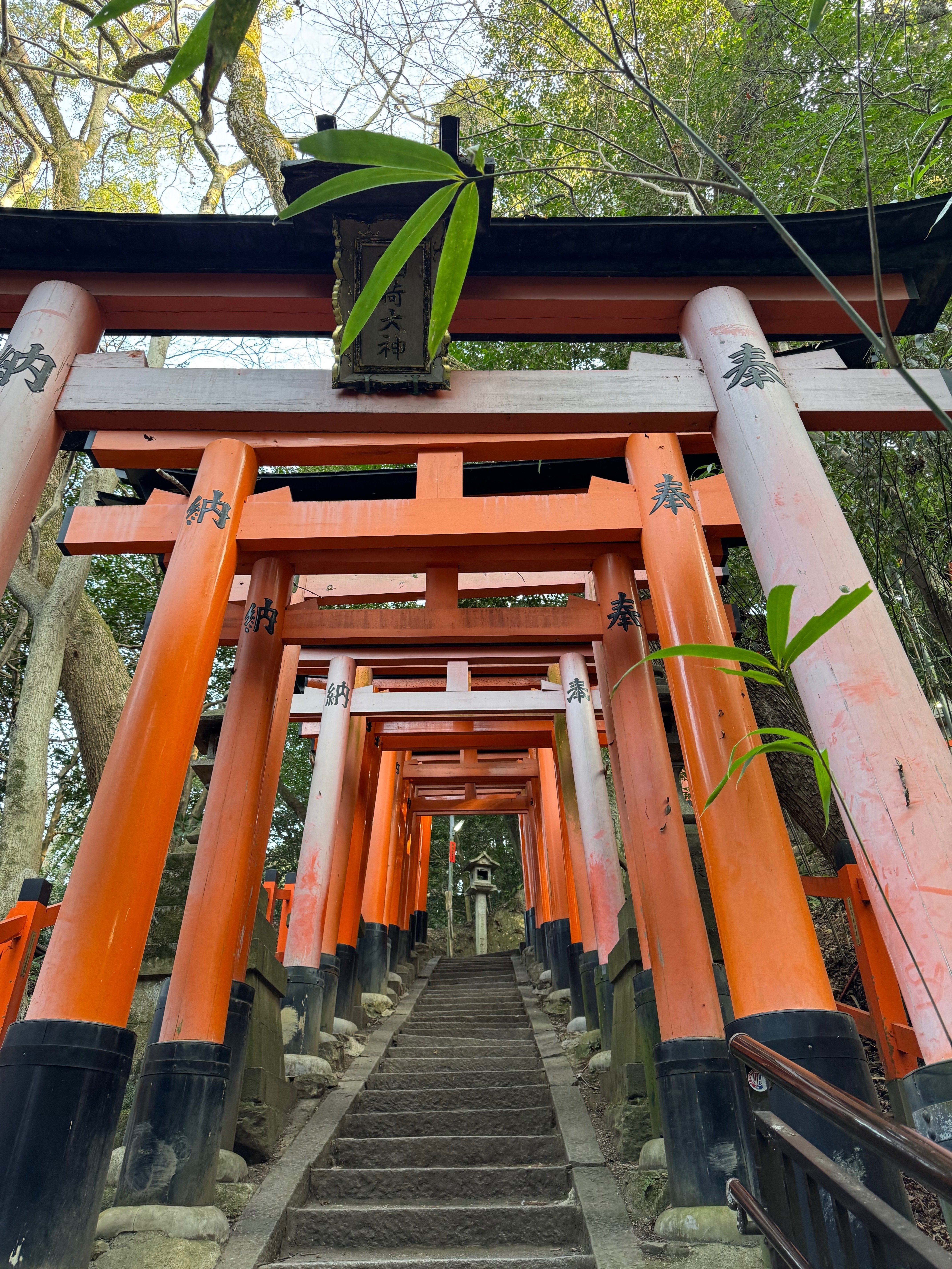 伏見稲荷に行ってみた！の巻🦊｜しかのじょう