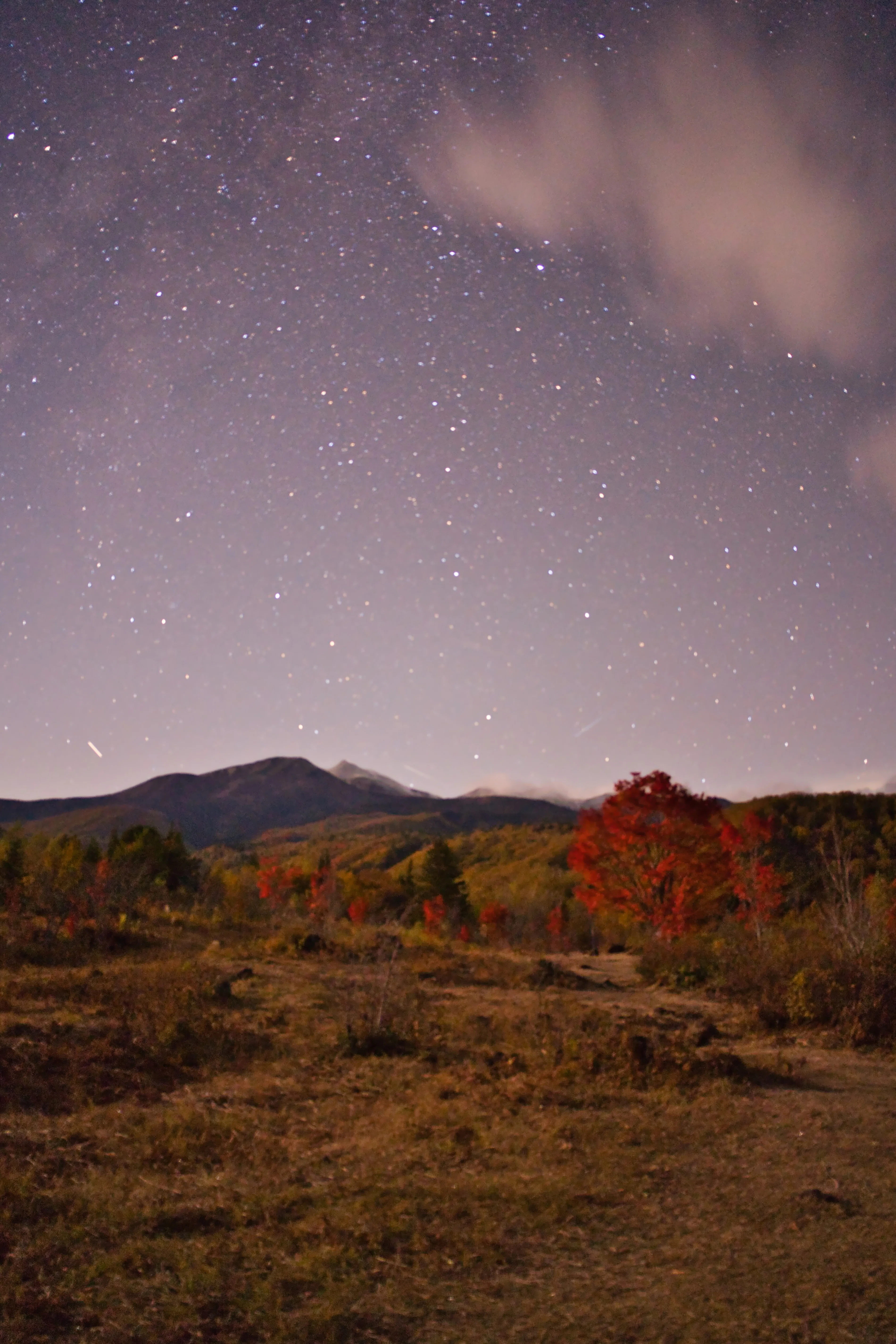 ここの星空が日本一だと思っている。エンタメではない孤独で贅沢な星空