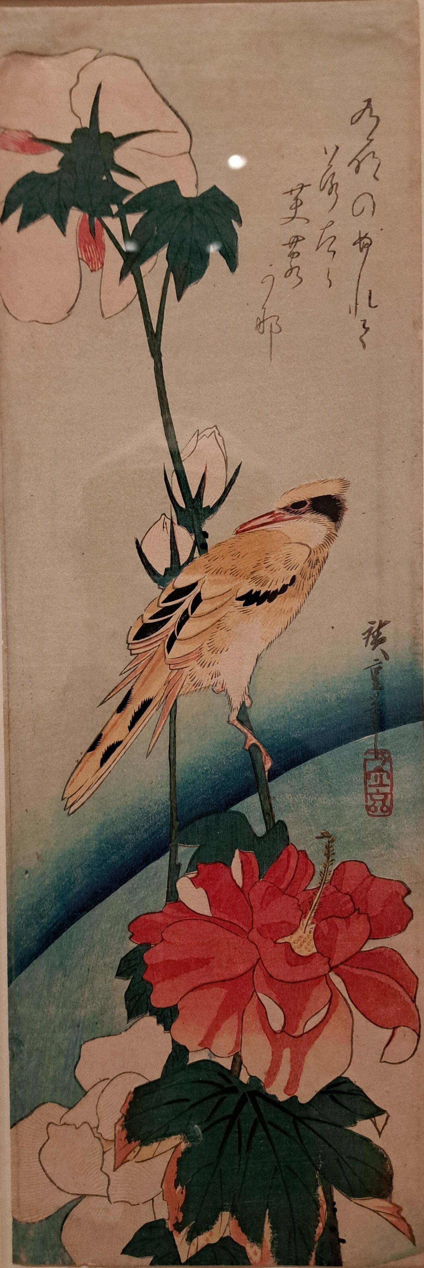 ロックフェラー・コレクション花鳥版画展 北斎、広重を中心に＞（千葉