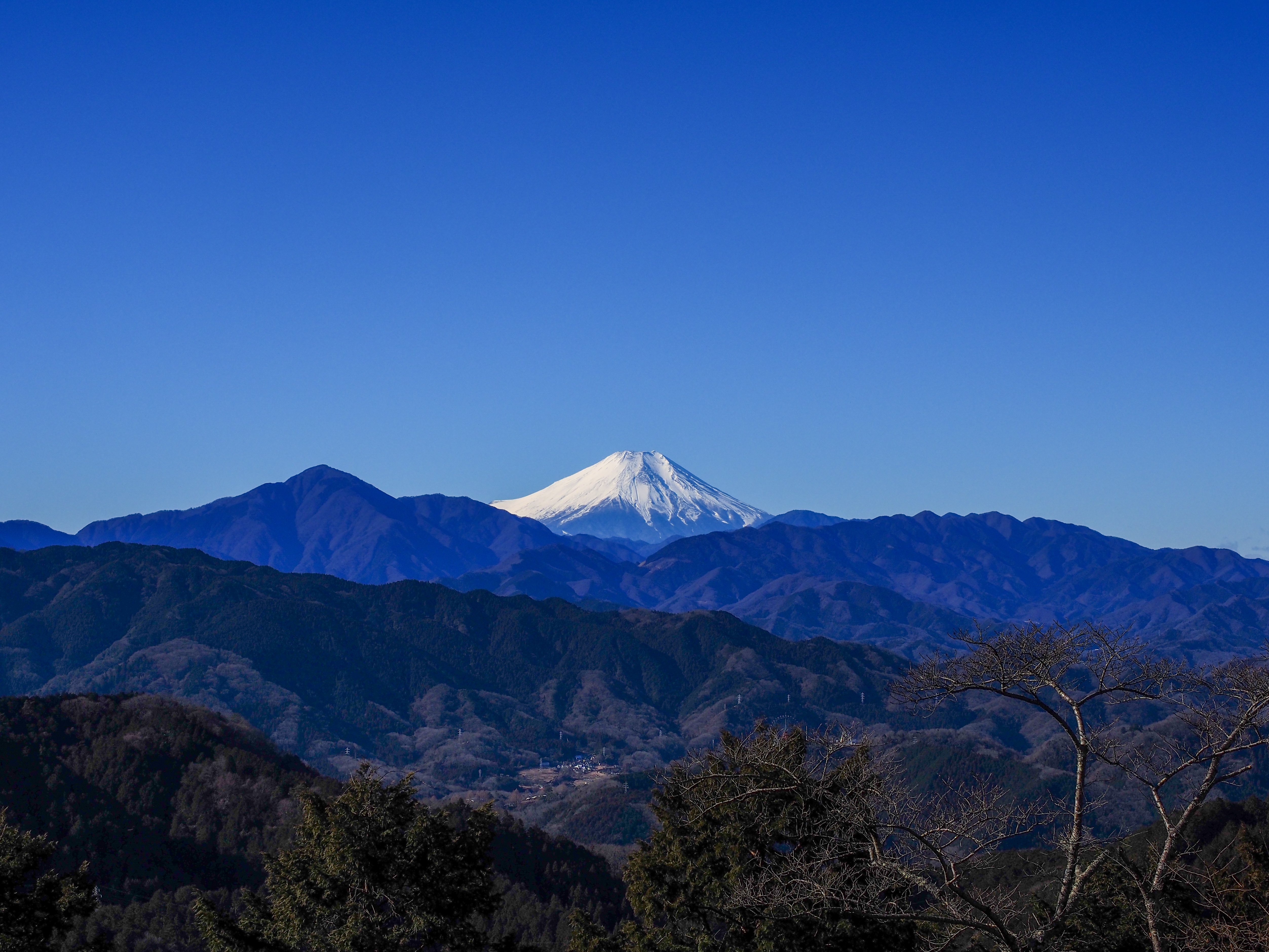 高尾歳時記 2026年1月23日｜悠星 Yusei