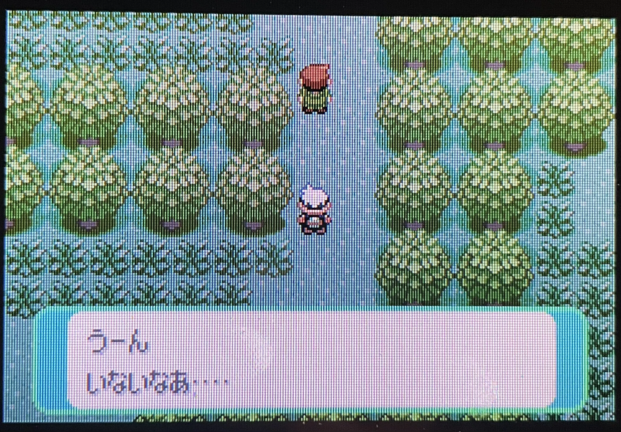 ポケモンエメラルドを、語りながら虫統一でクリアする(第2回)｜エスコバー