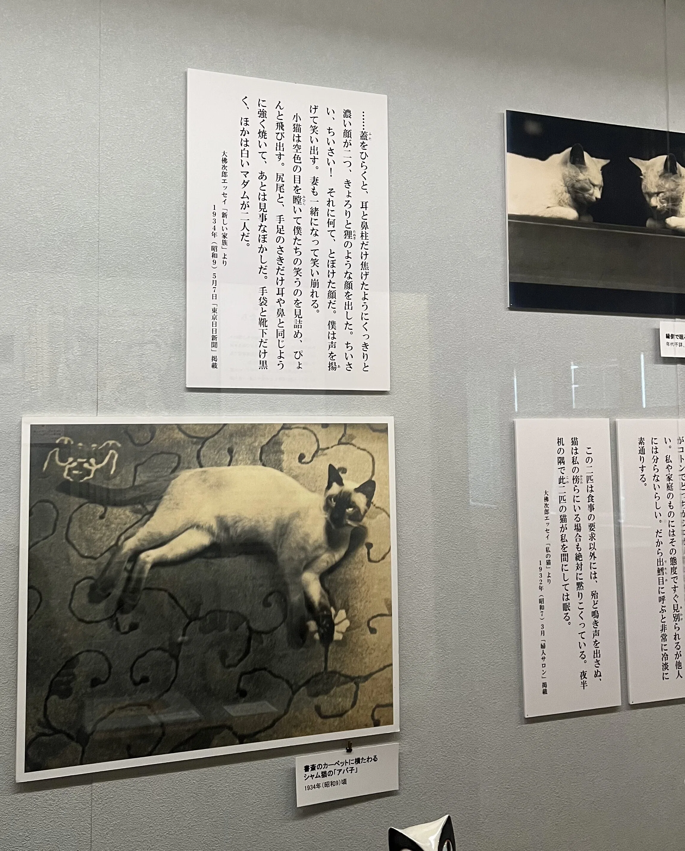 すべての猫好きへ】「大猫展」レポ 大佛次郎記念館｜早稲田大学博物館