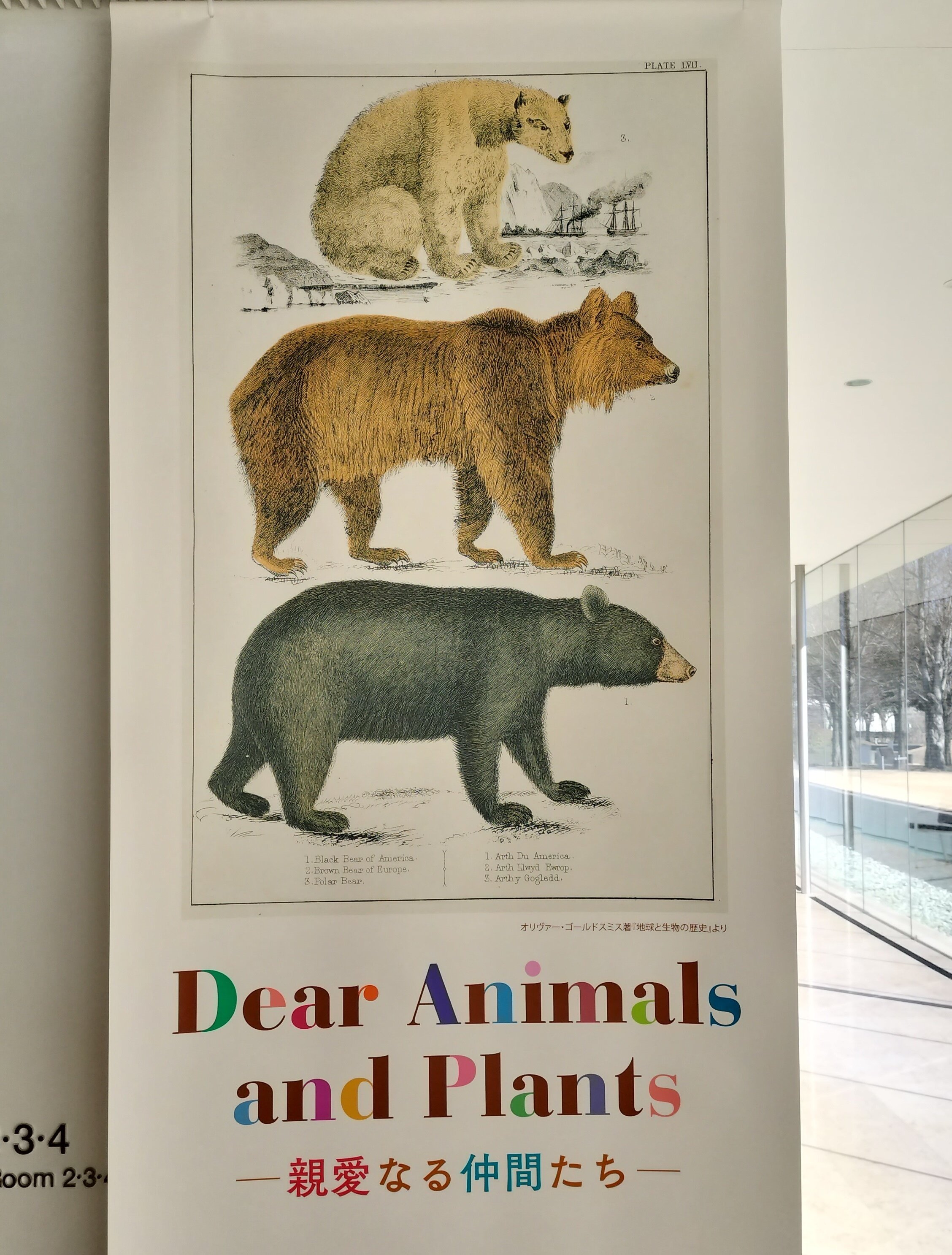 自然天然木(根)とても珍人間の歩姿です自然の感動てきア−ト作品です一品です 親愛なる仲間たち | 群馬県立館林美術館｜エト