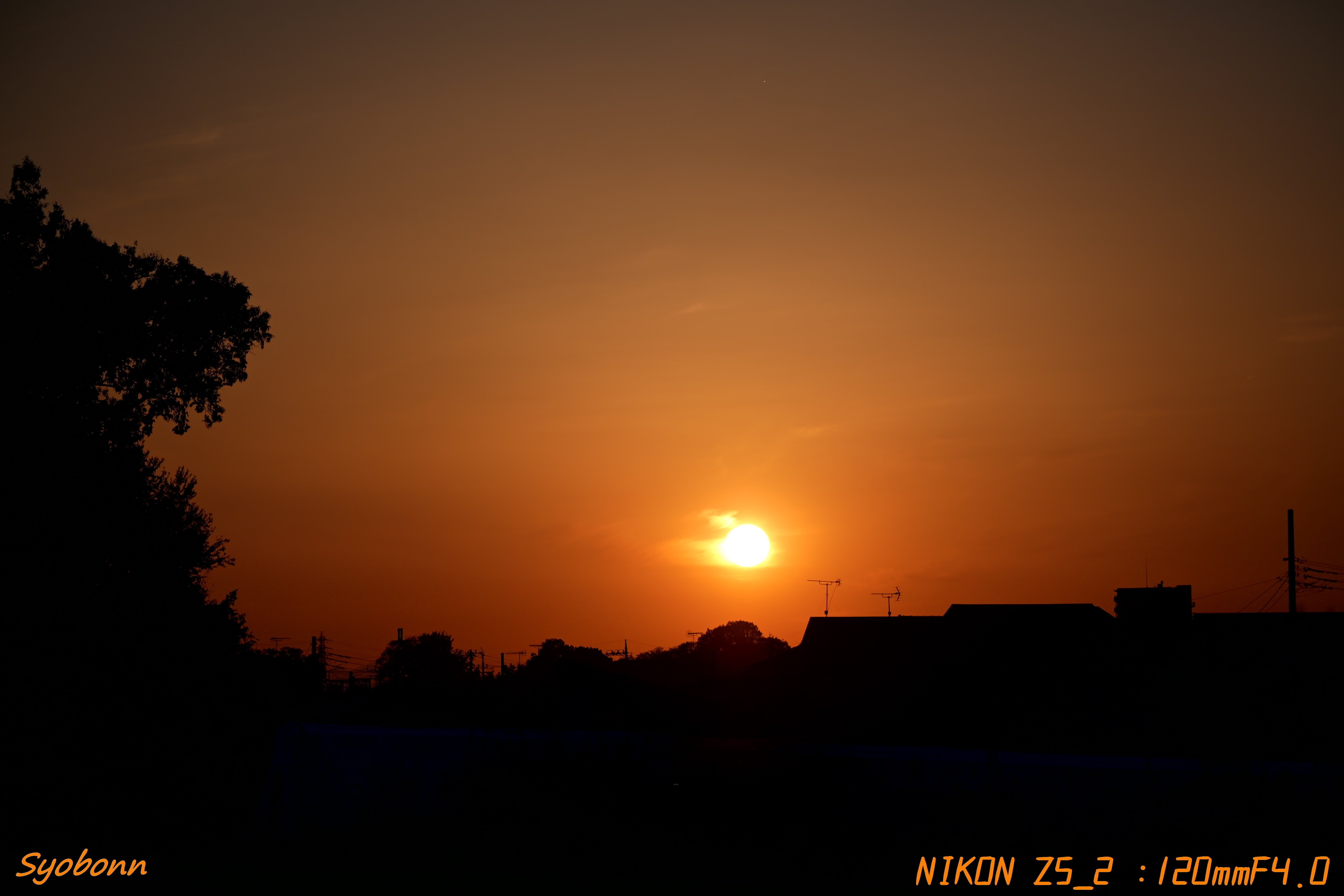 Z5IIで夕陽を撮ってみた #177_2511｜(´・ω・｀)