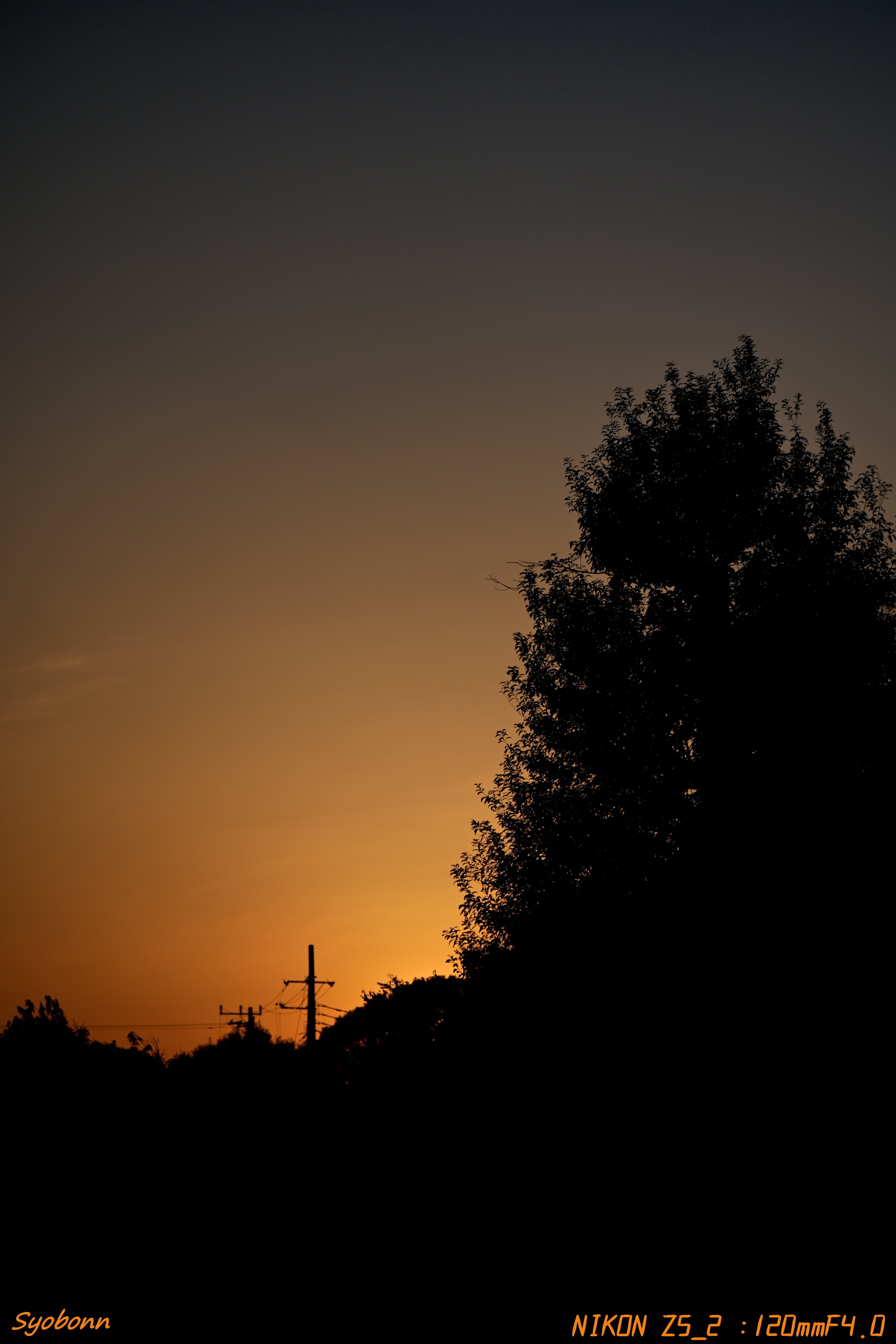 Z5IIで夕陽を撮ってみた #177_2511｜(´・ω・｀)
