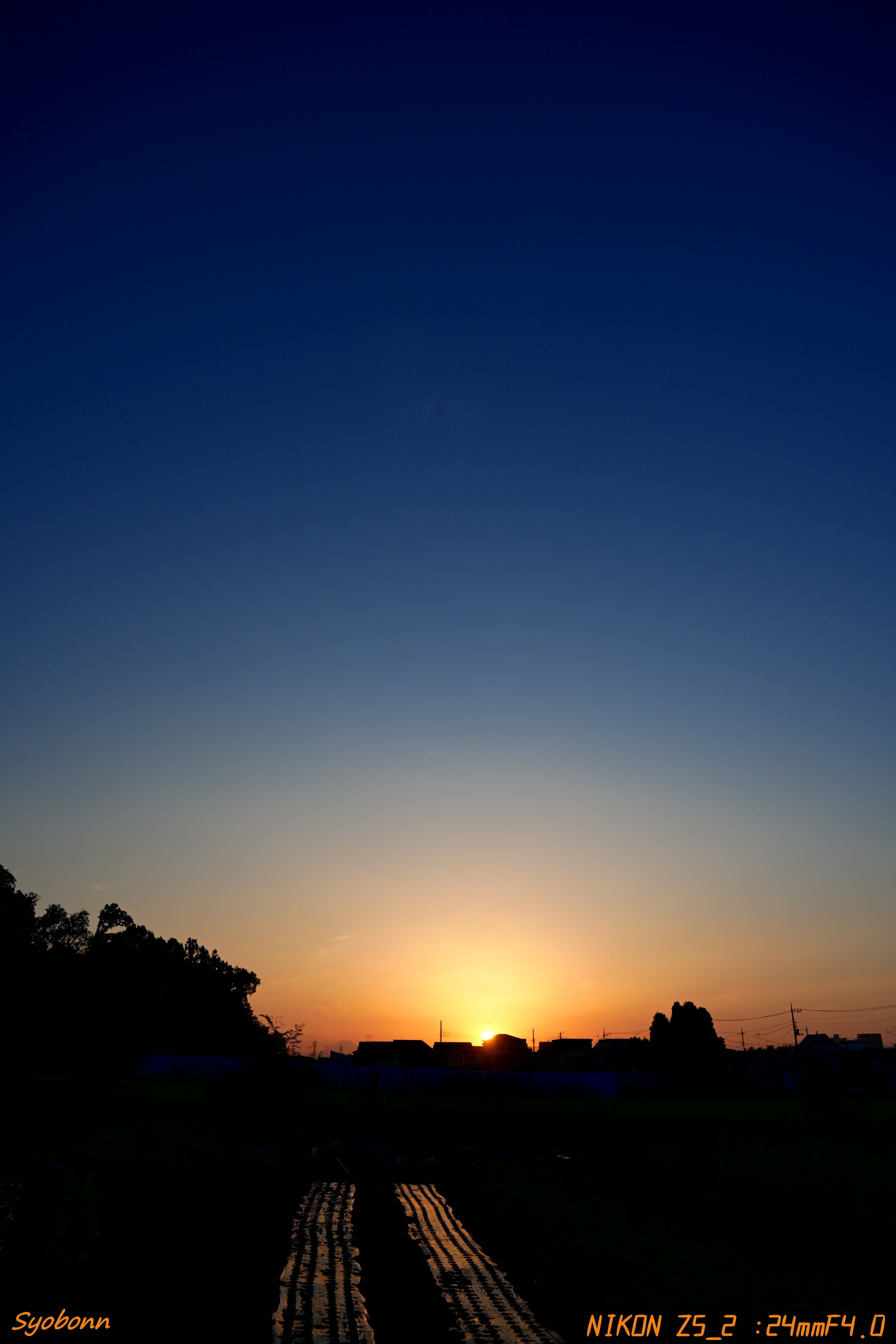 Z5IIで夕陽を撮ってみた #177_2511｜(´・ω・｀)