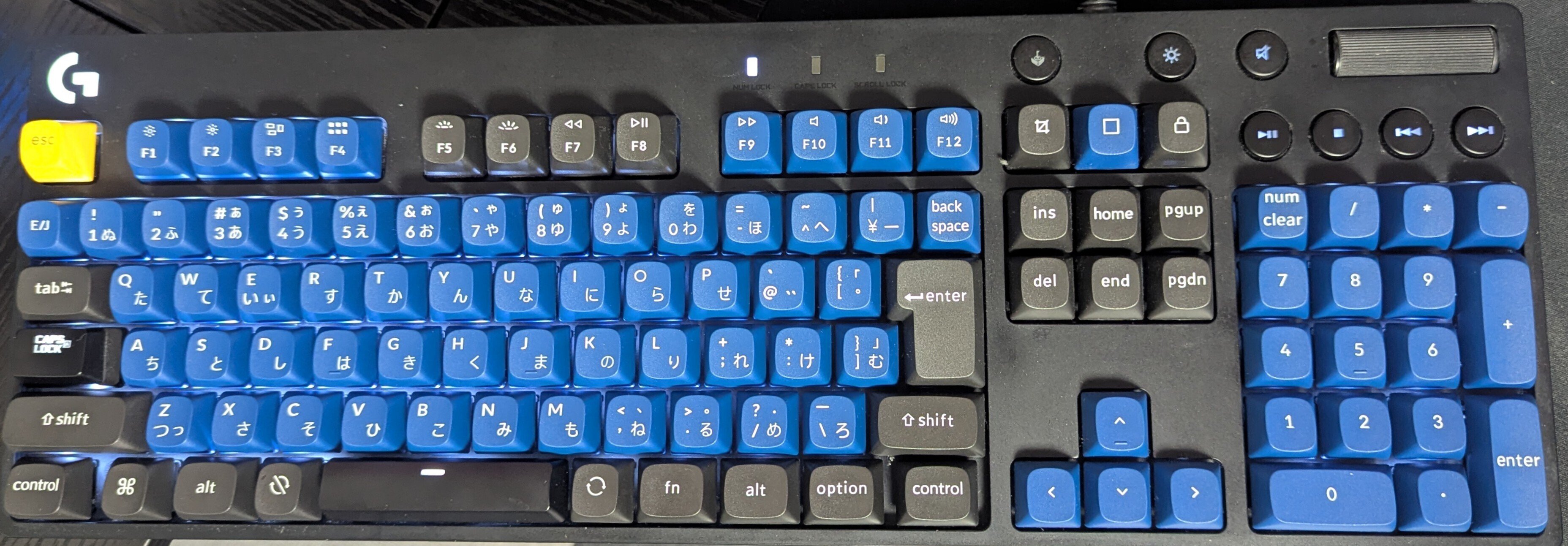 ラピトリ初体験。5年ぶりに買ったキーボードが想像以上だった