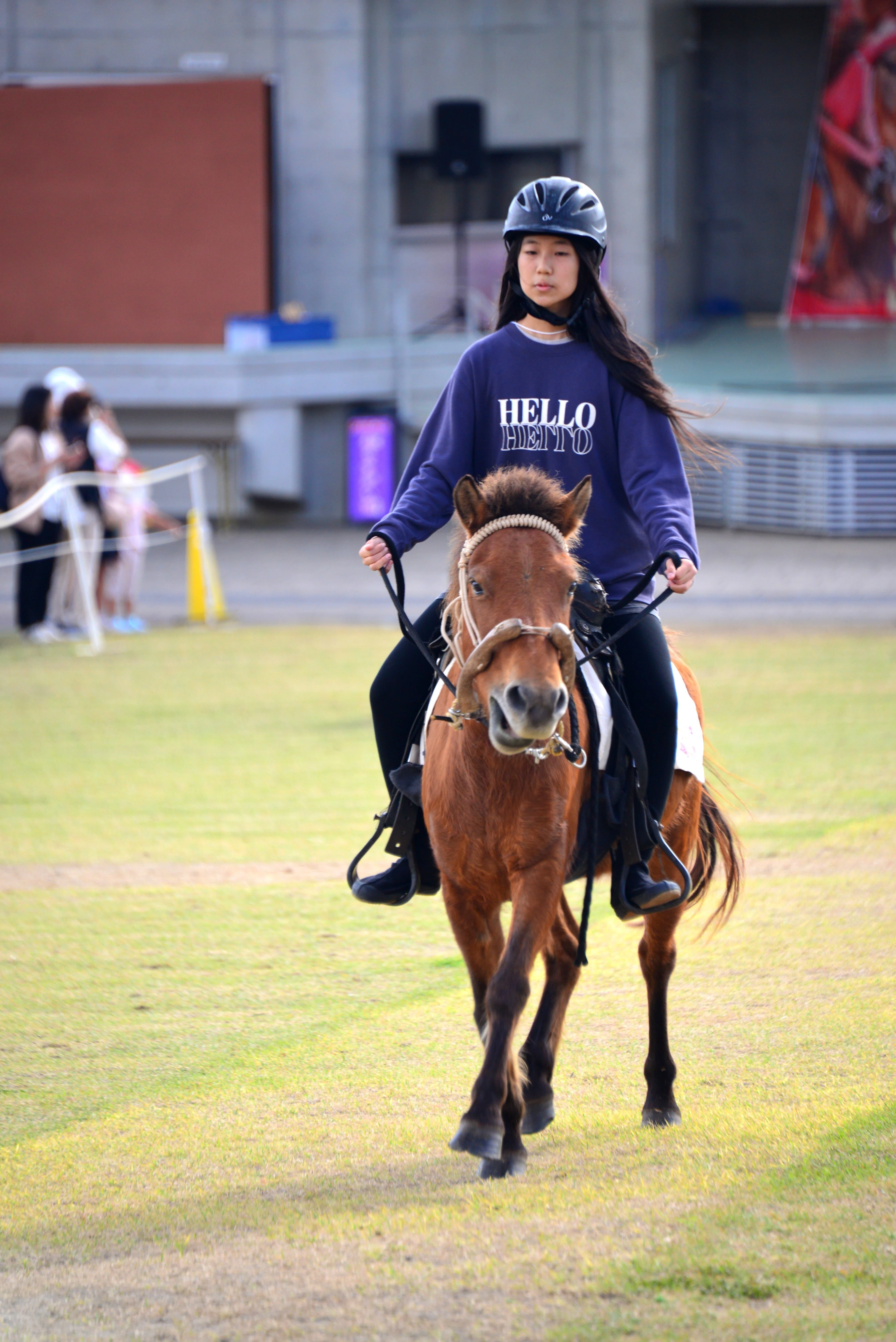 ンマハラシー（琉球競馬）を観に沖縄こどもの国に行く｜Heira.K