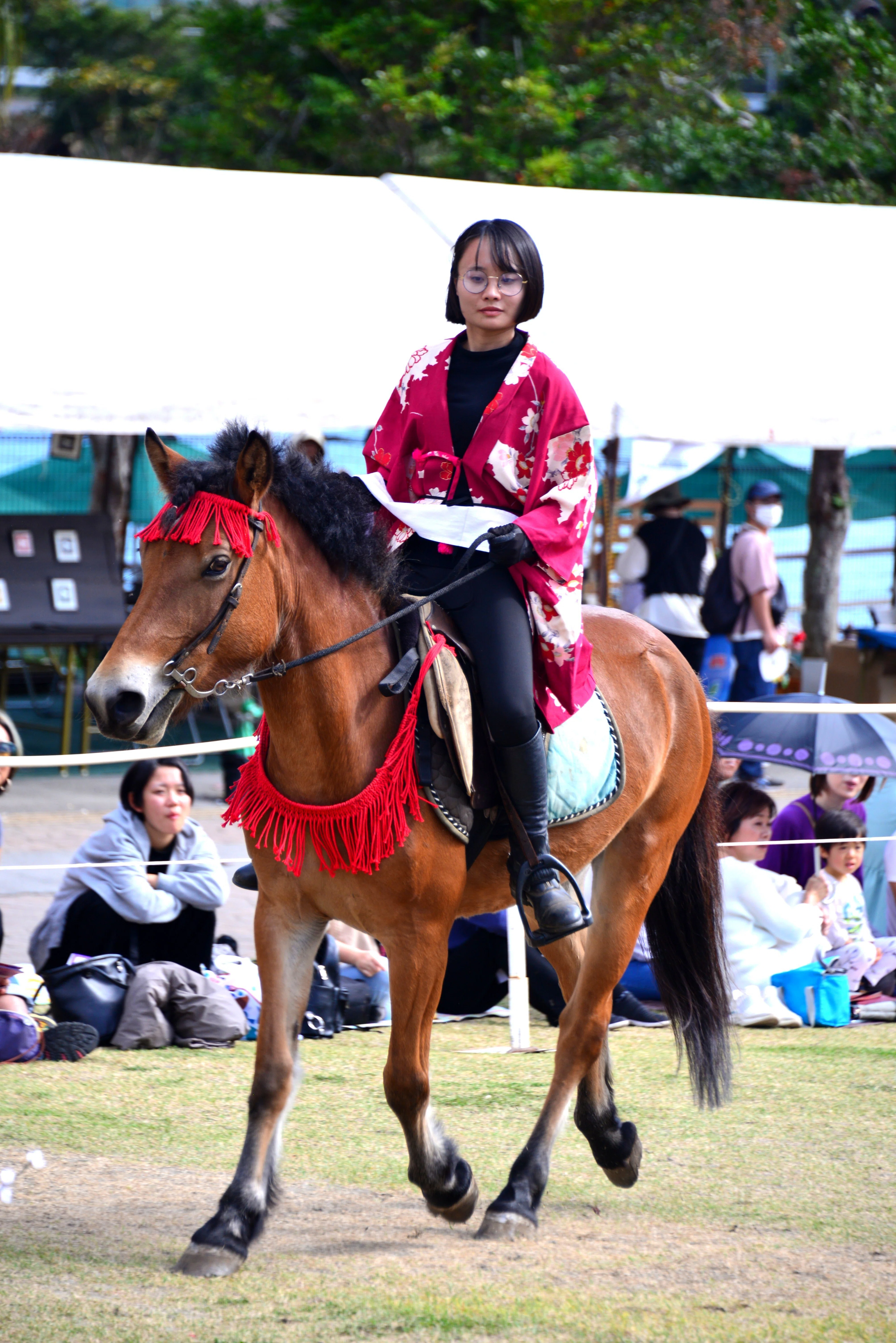 ンマハラシー（琉球競馬）を観に沖縄こどもの国に行く｜Heira.K