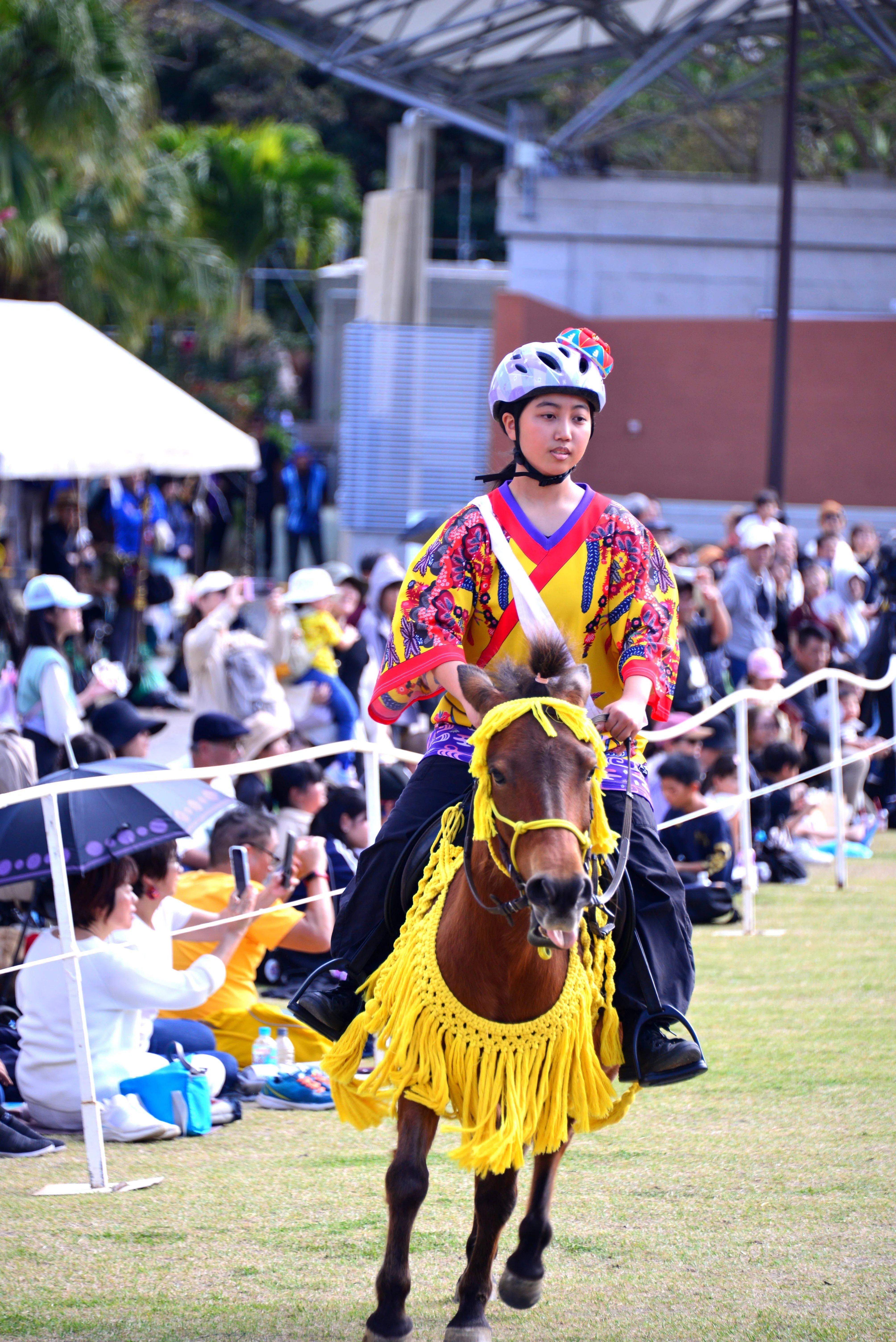 ンマハラシー（琉球競馬）を観に沖縄こどもの国に行く｜Heira.K