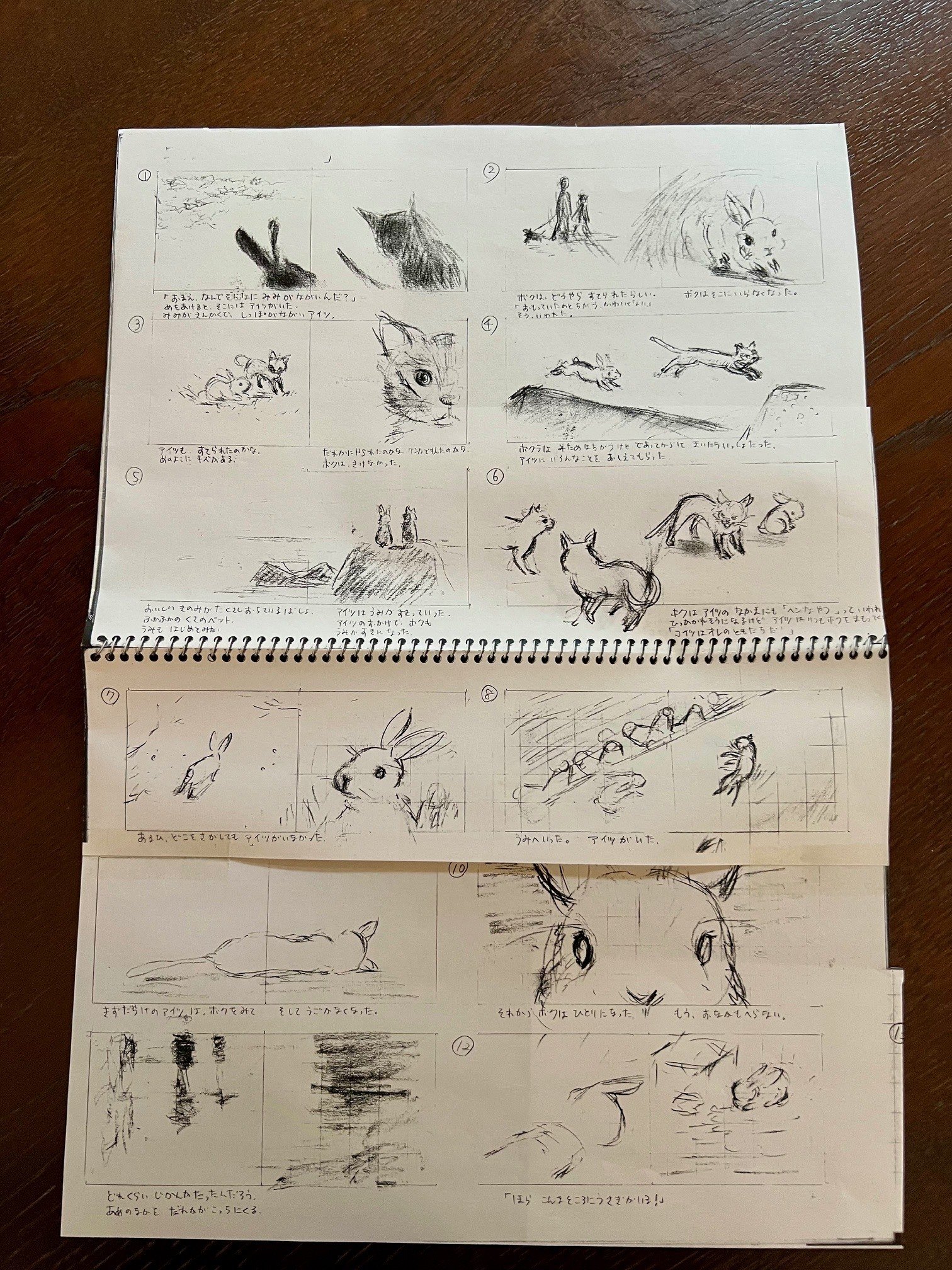 画家・絵本作家の声】近藤えりさん ～絵本『うさぎのしま』が生まれた