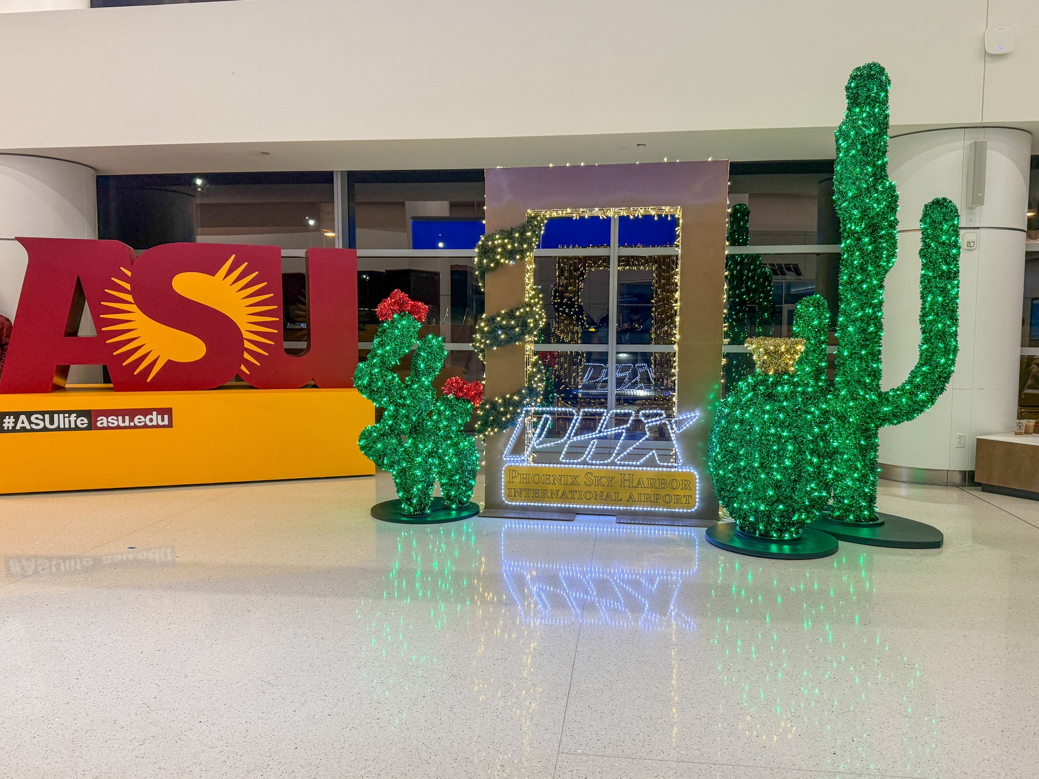 アメリカ旅行記🇺🇸】サワロ編 数百万本のサボテンで埋め尽くされた