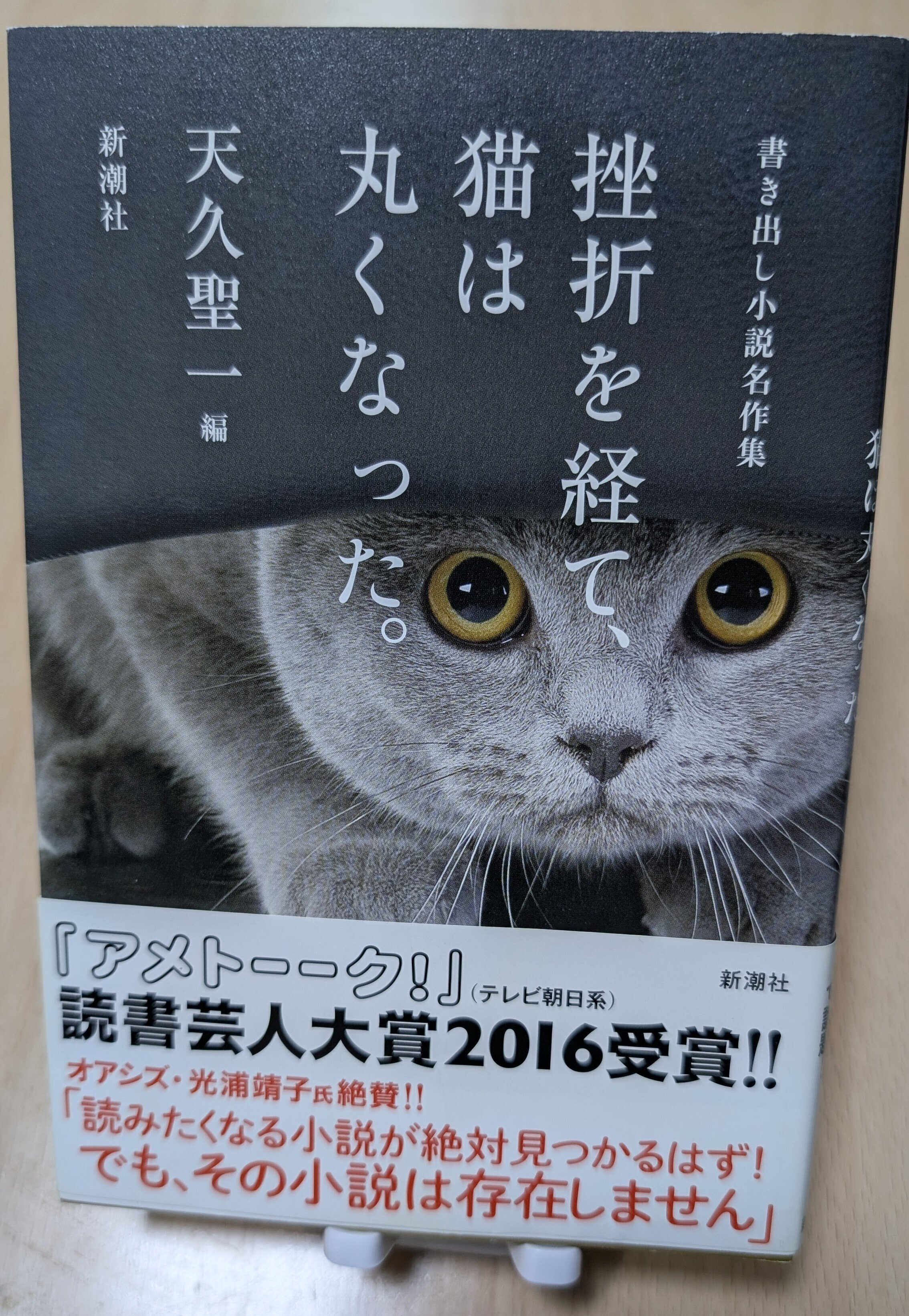 読書感想文】ライターが震えた『書き出し小説』の魔力｜「挫折を経て