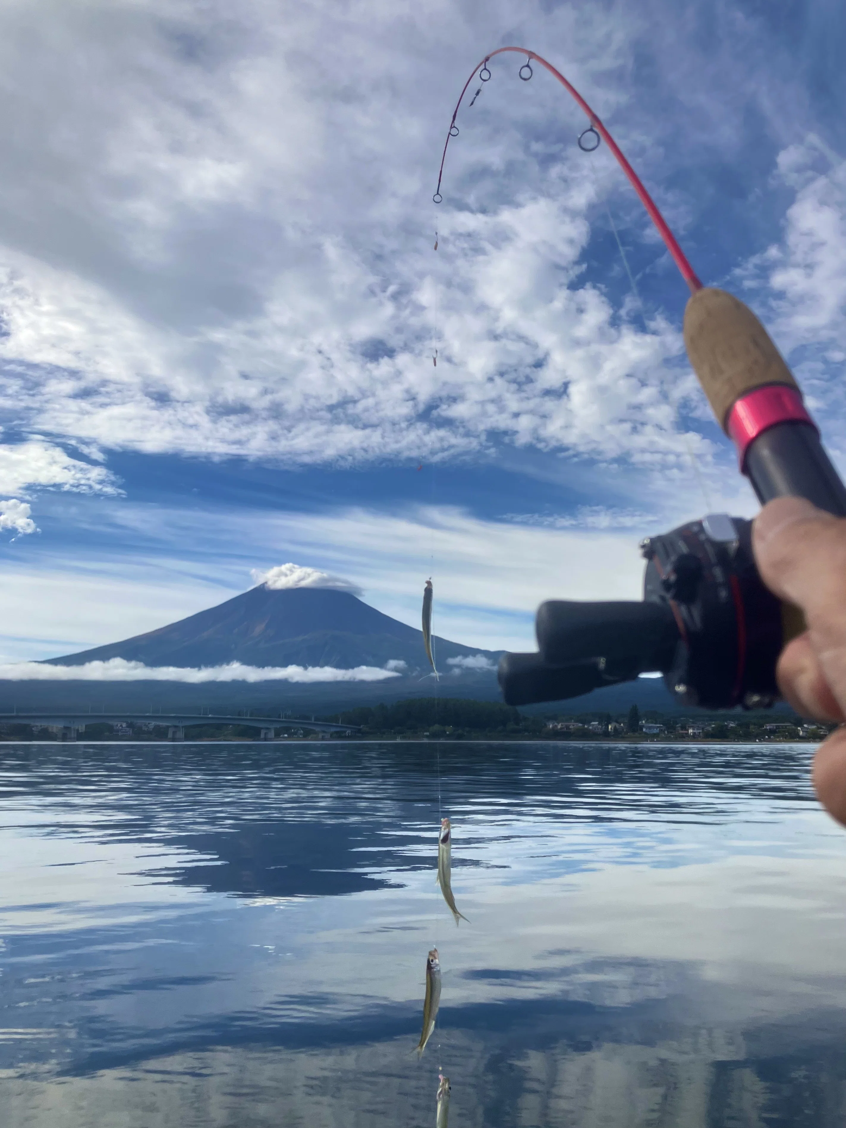 🎣オールドフィッシングタックル044 センターピンリール進化論 ~ DAIWA