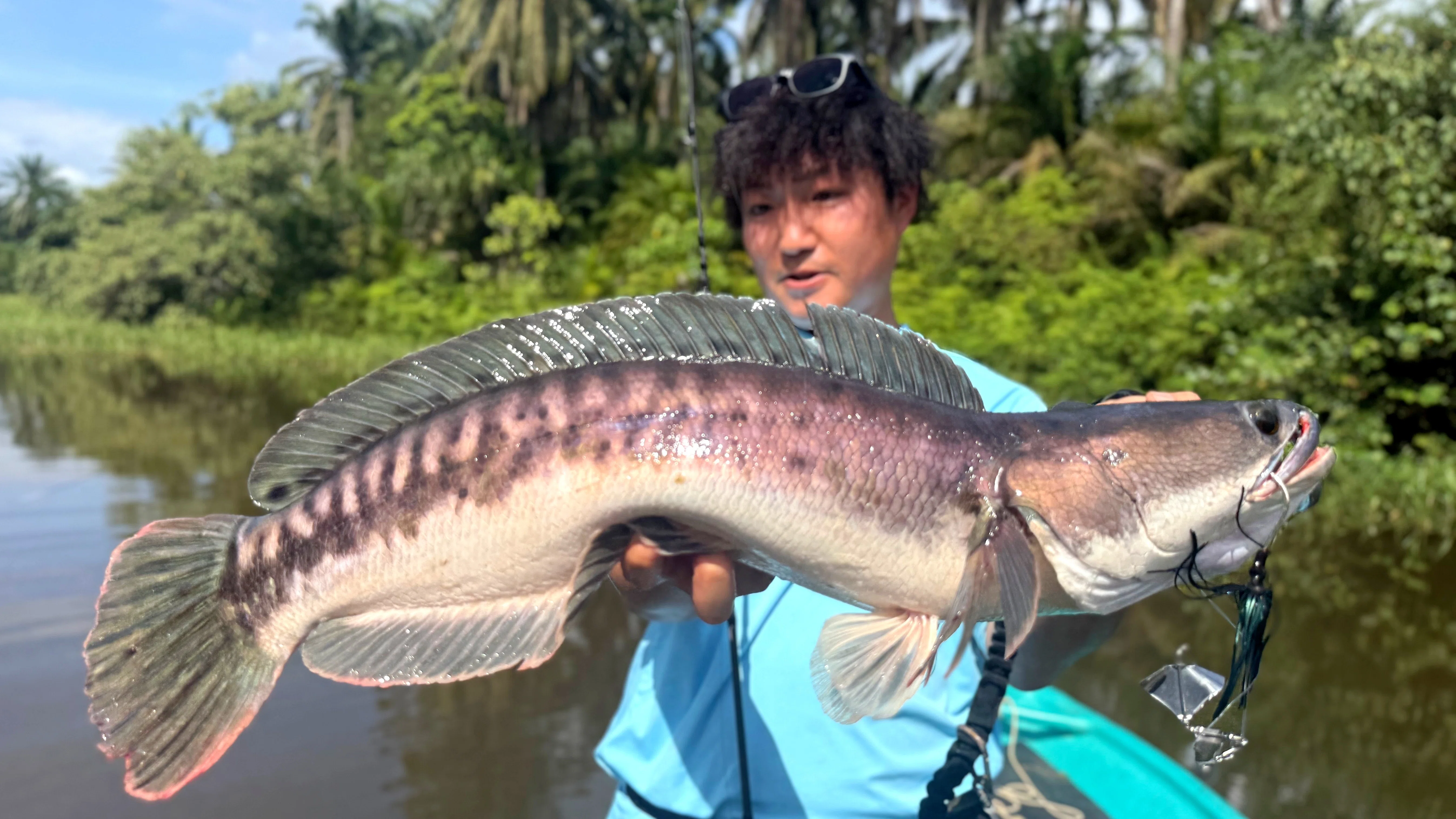 保存版】怪魚トーマンフィッシング完全ガイド｜釣り方別タックル