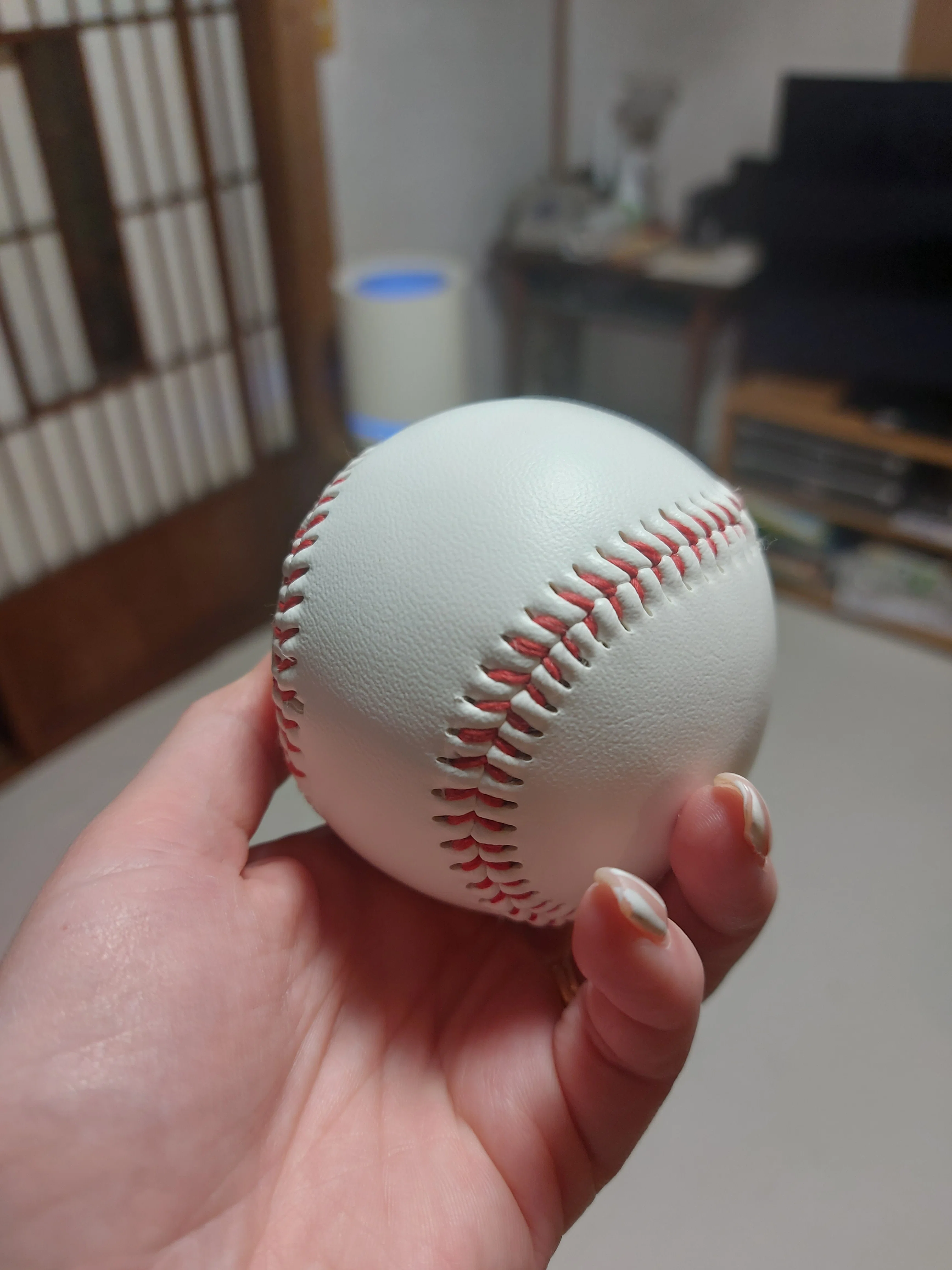 ペサパッロ(フィンランド式野球) Pikipeikko グローブ