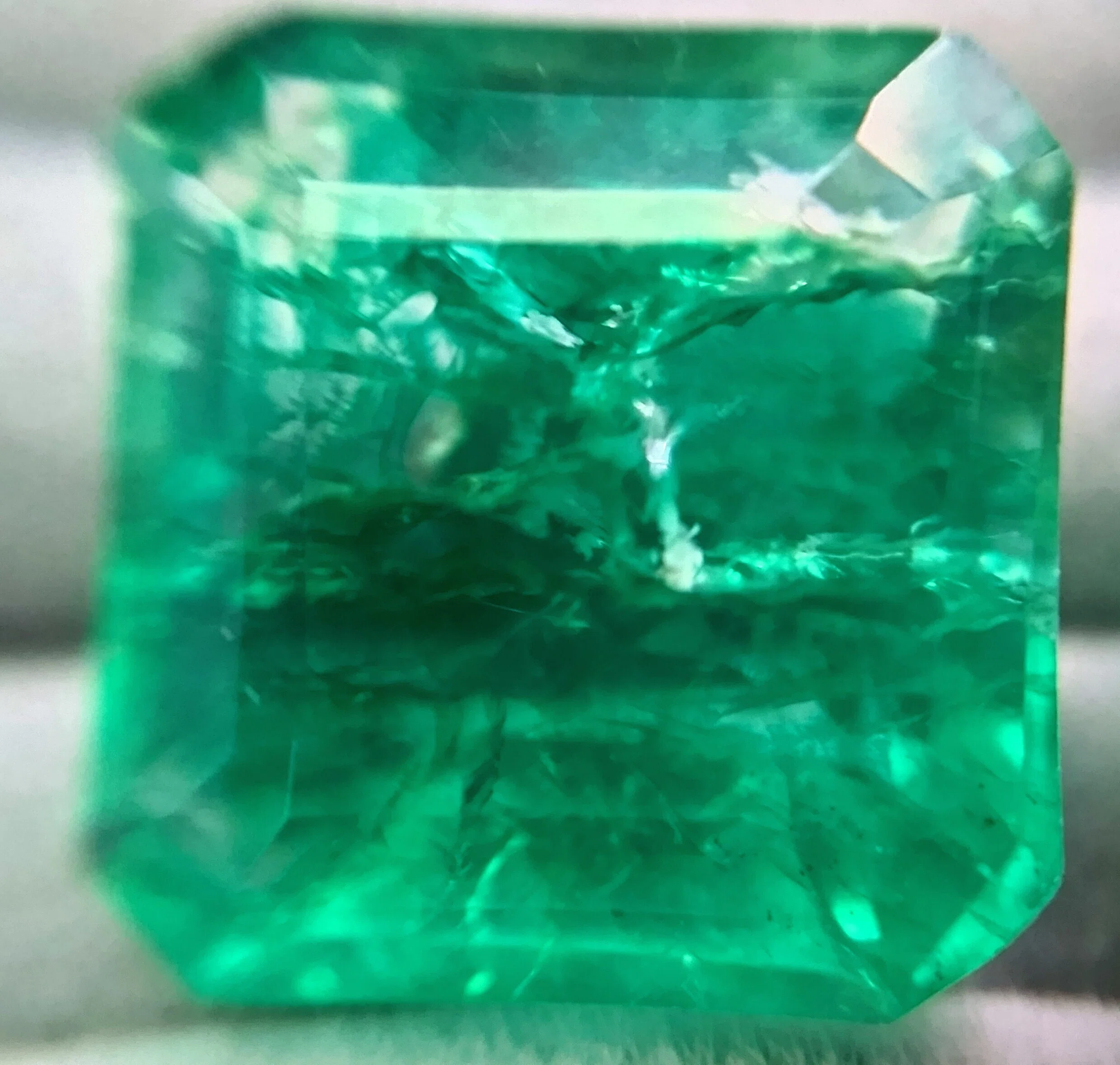 ルビー サファイア ルース エメラルド | 宝石を育てる 楕円形 複数の色