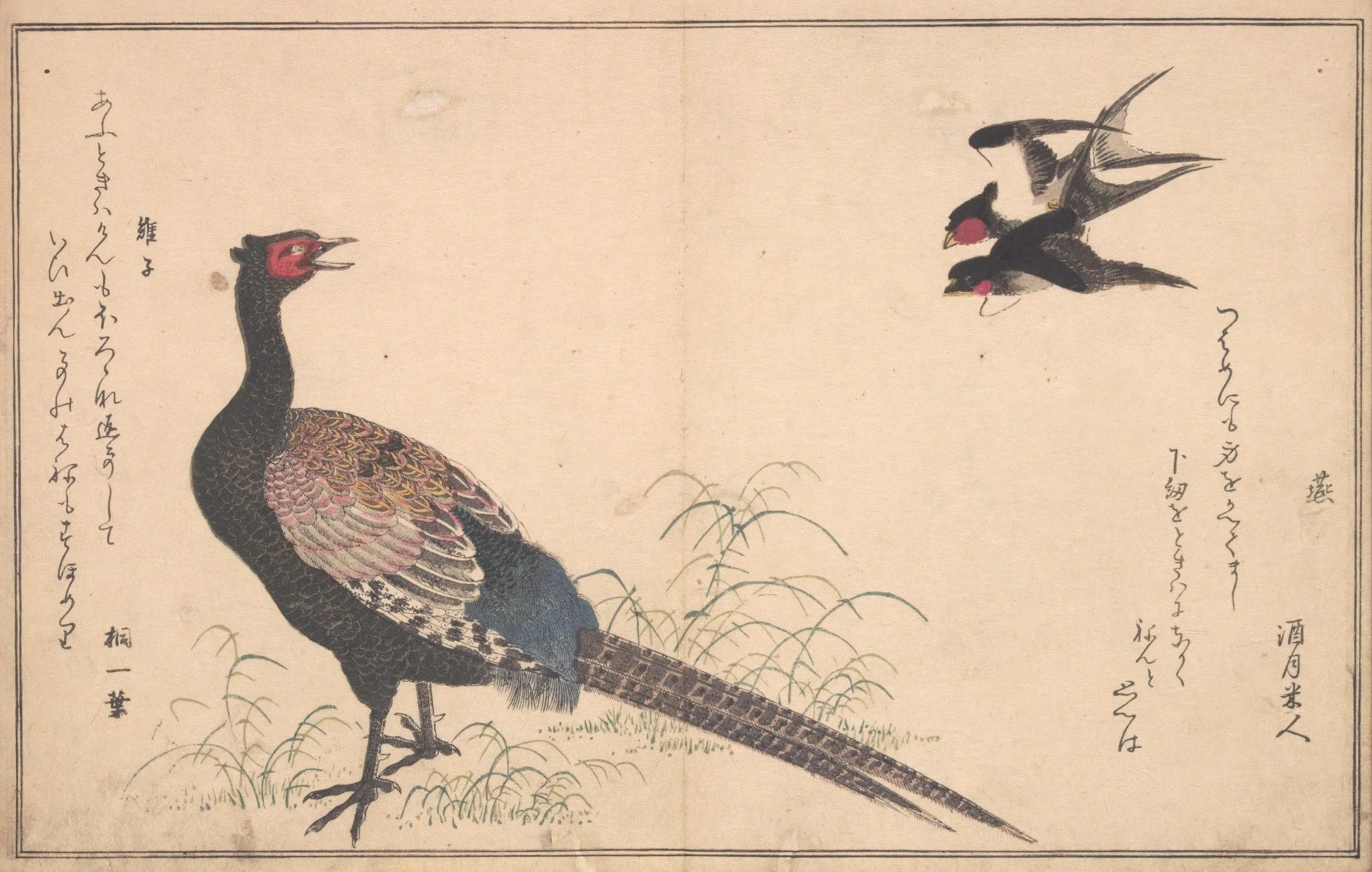 蔦屋重三郎×喜多川歌麿】絵本百千鳥（1）鷹×百舌・燕×雉子・鶉×雲雀