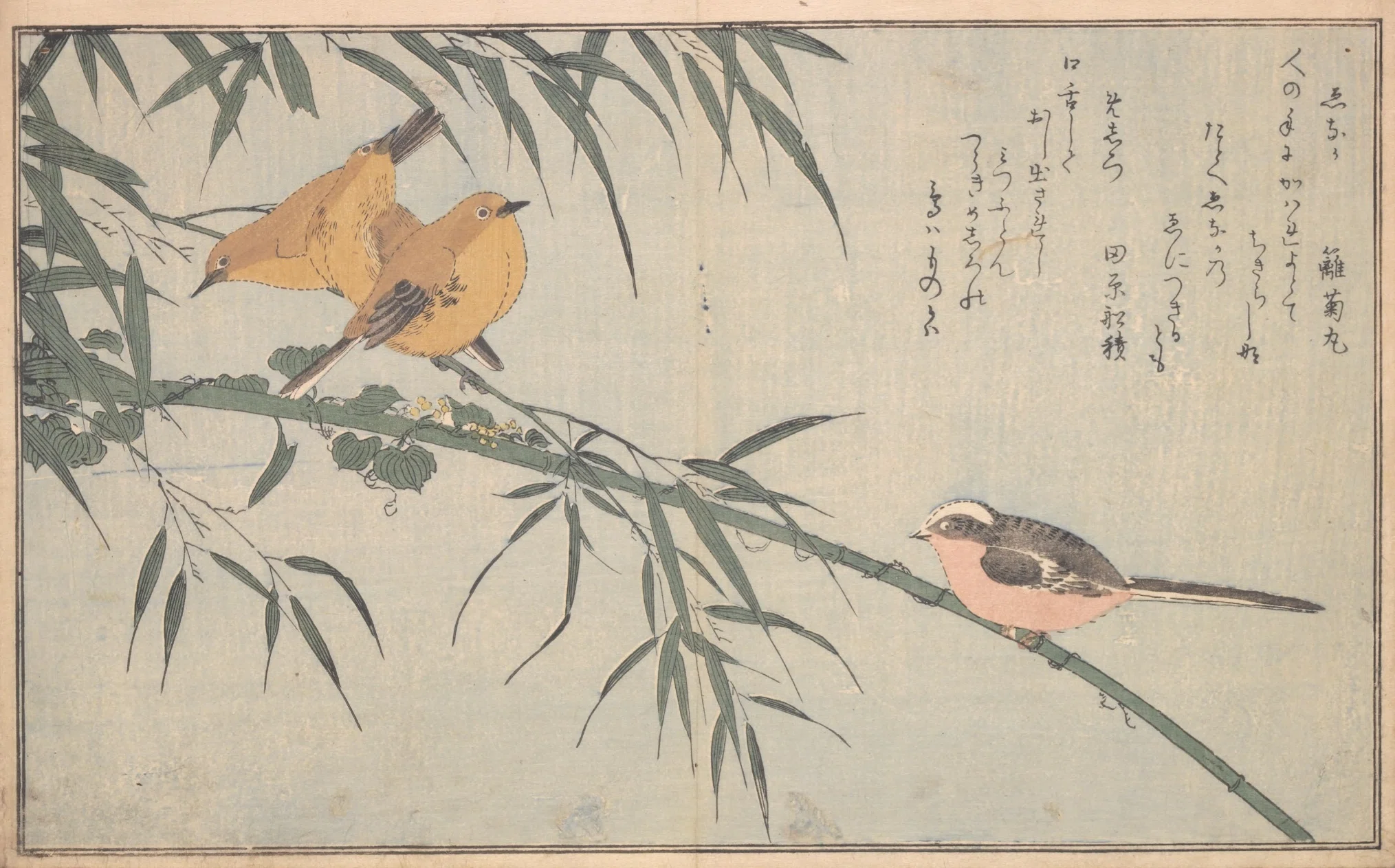 蔦屋重三郎×喜多川歌麿】絵本百千鳥（1）鷹×百舌・燕×雉子・鶉×雲雀