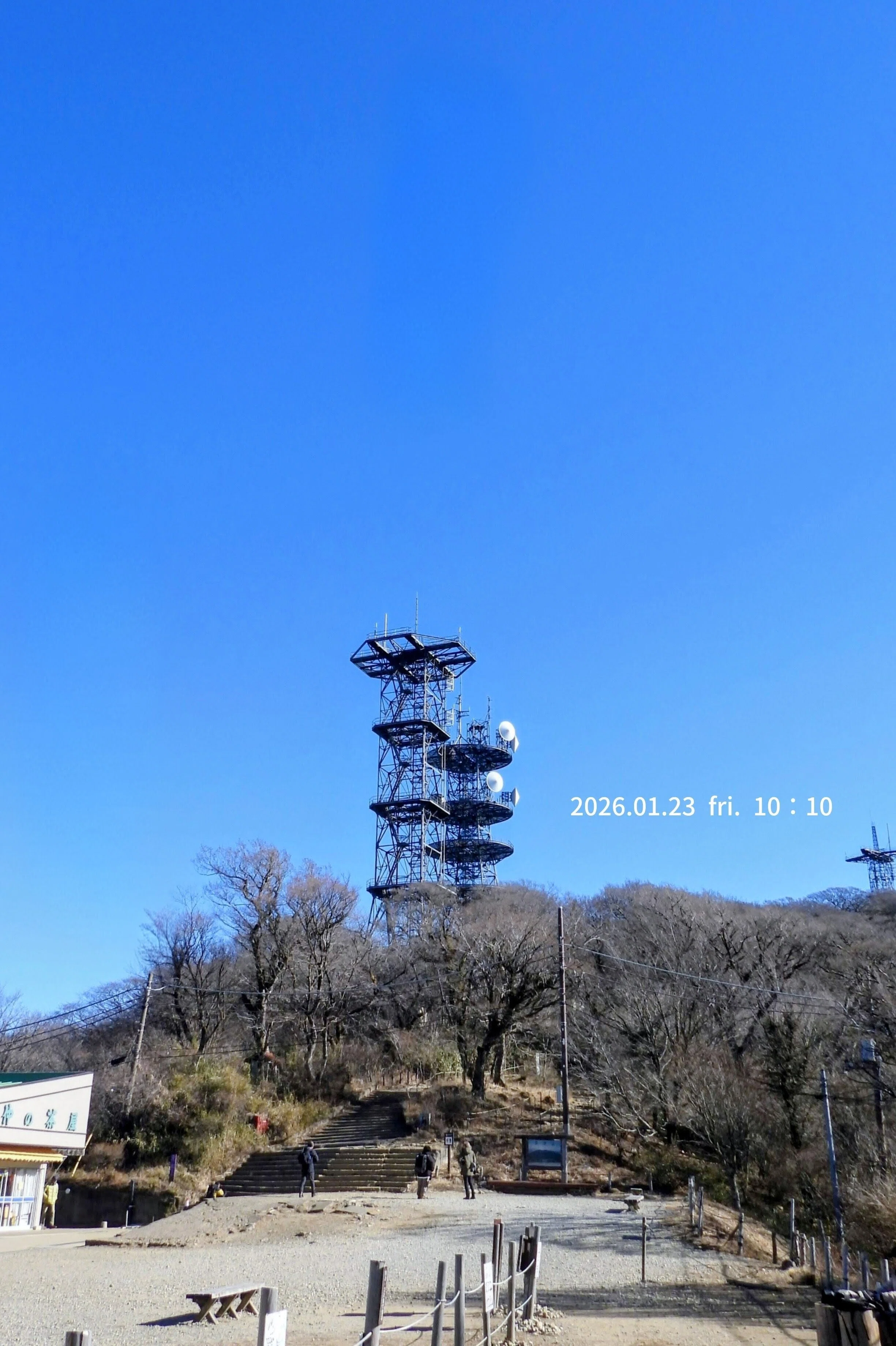 野鳥たちのいる風景 2026.01.23 fri. 茨城県つくば市−前編。｜michio