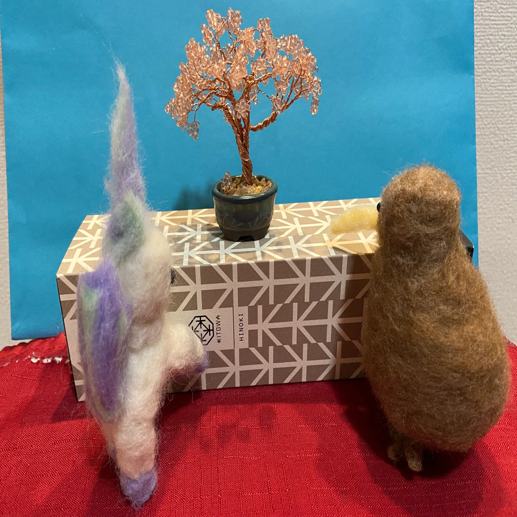 ネジッテBONSAIに初挑戦｜そそろ@「できない」を遊ぶ人