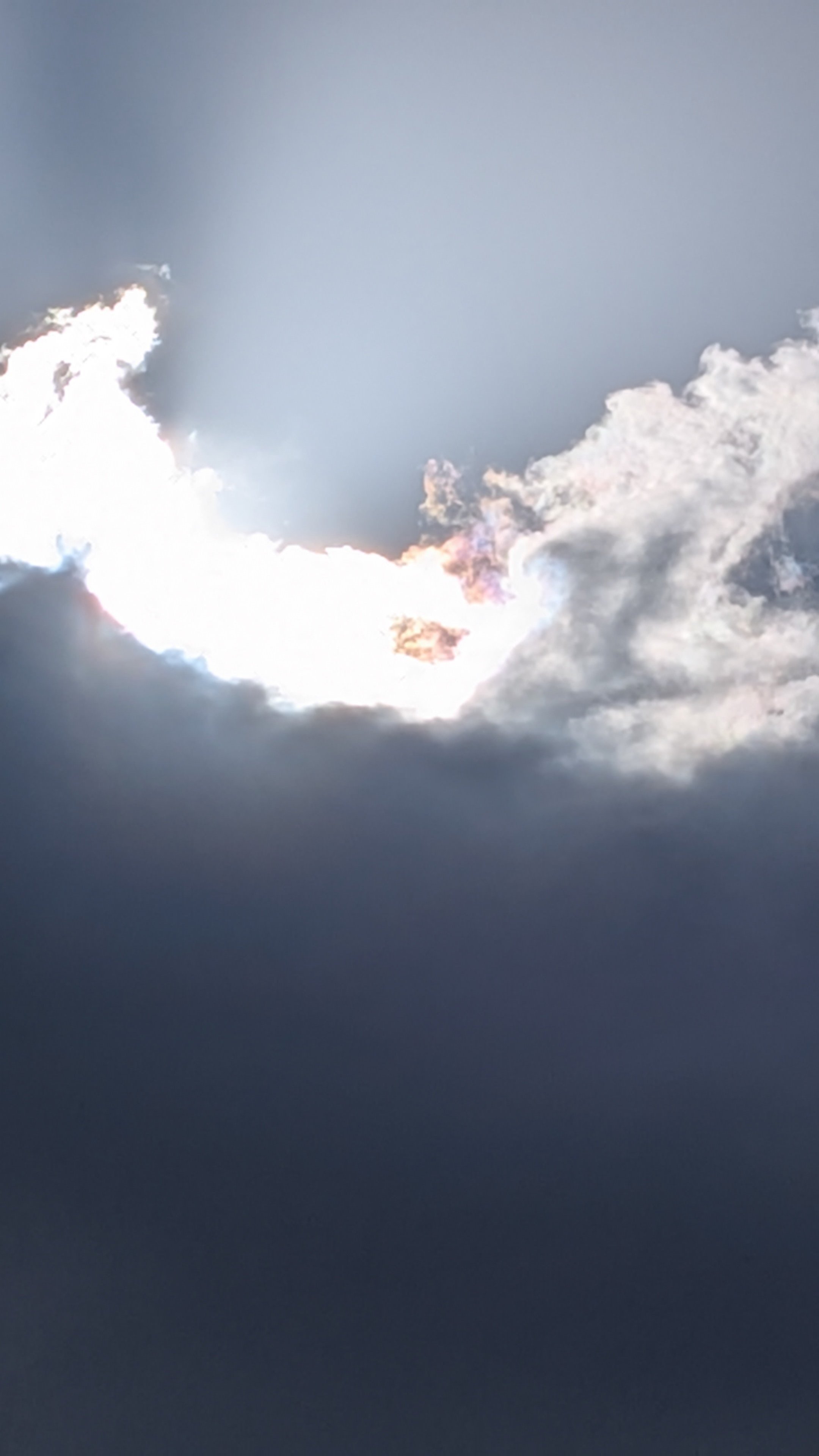 良い兆しなのかな【彩雲】｜みぃ