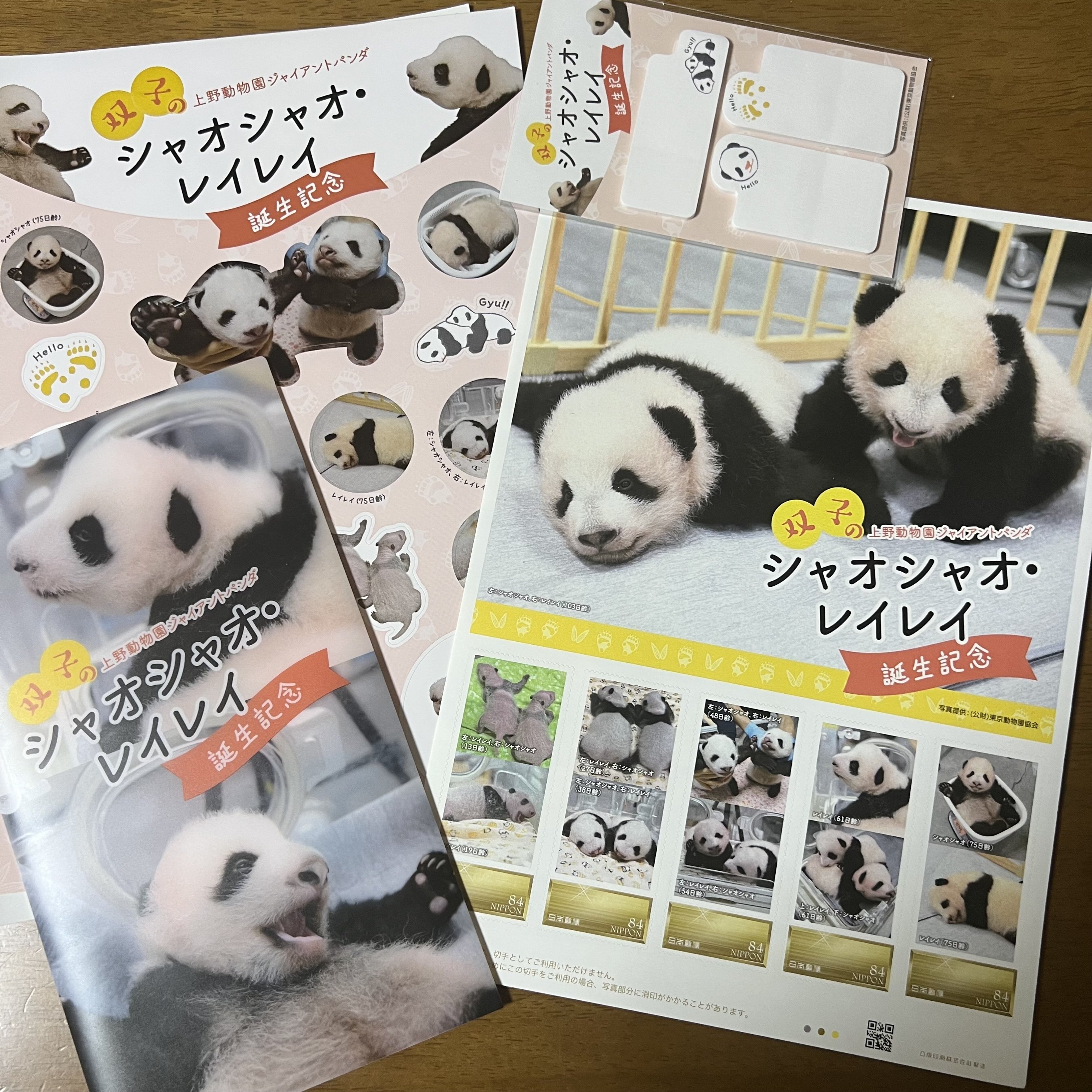 シャオシャオ・レイレイ🐼🐼さようなら｜ミント