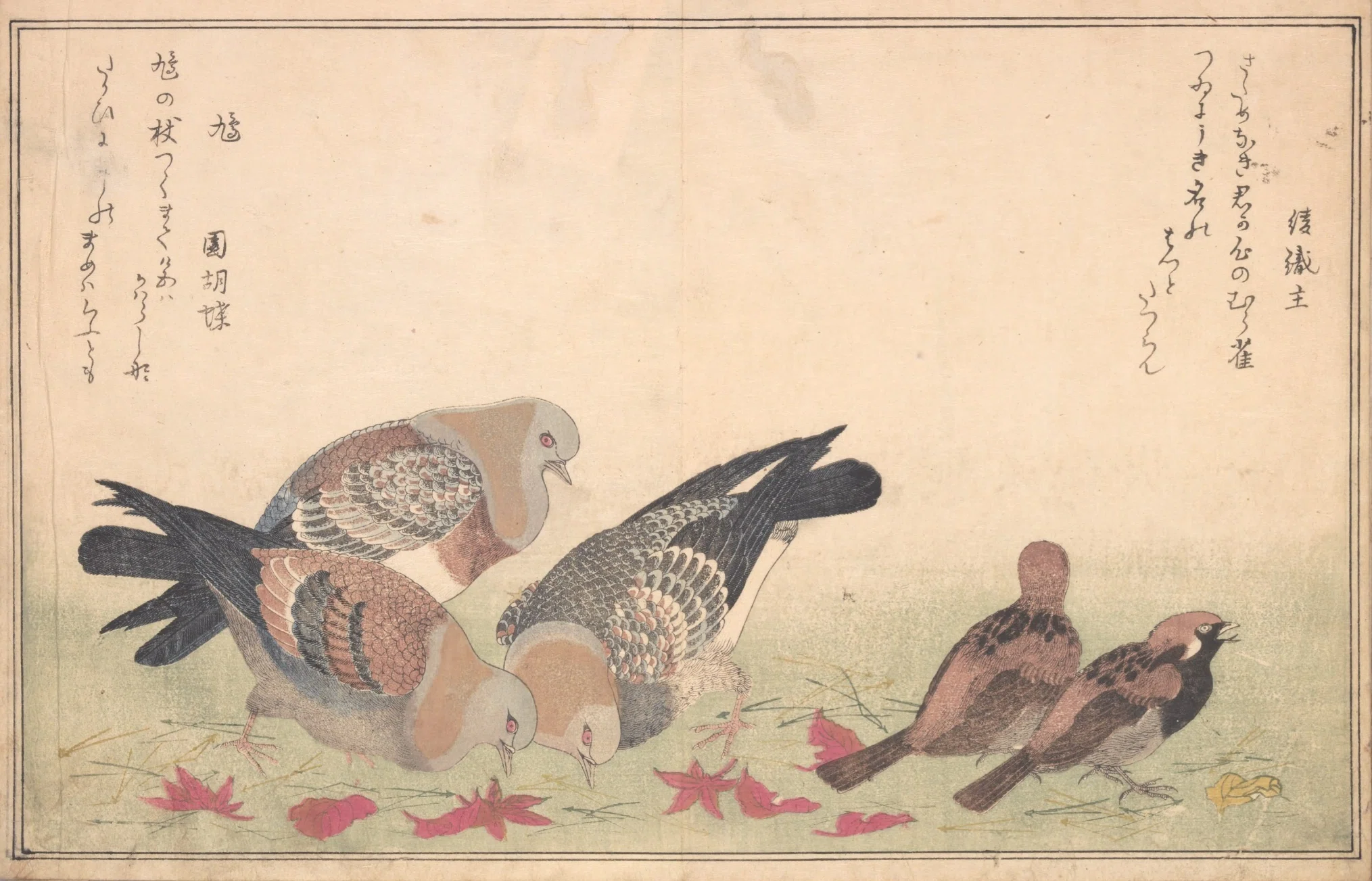 蔦屋重三郎×喜多川歌麿】絵本百千鳥（2）木兎×鷽・かし鳥×鴟鶉・鵜×鷺